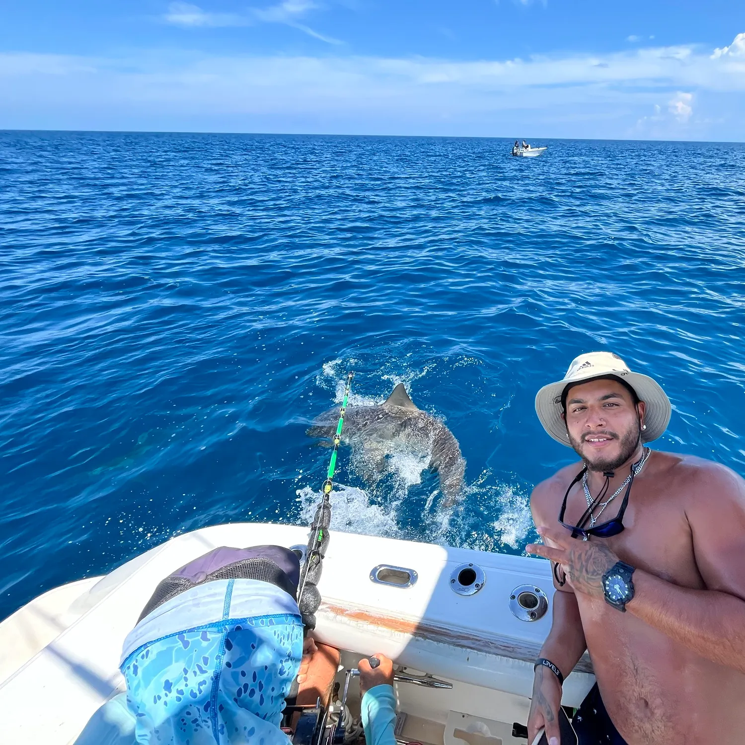 The most recent Bull shark catches on Fishbrain