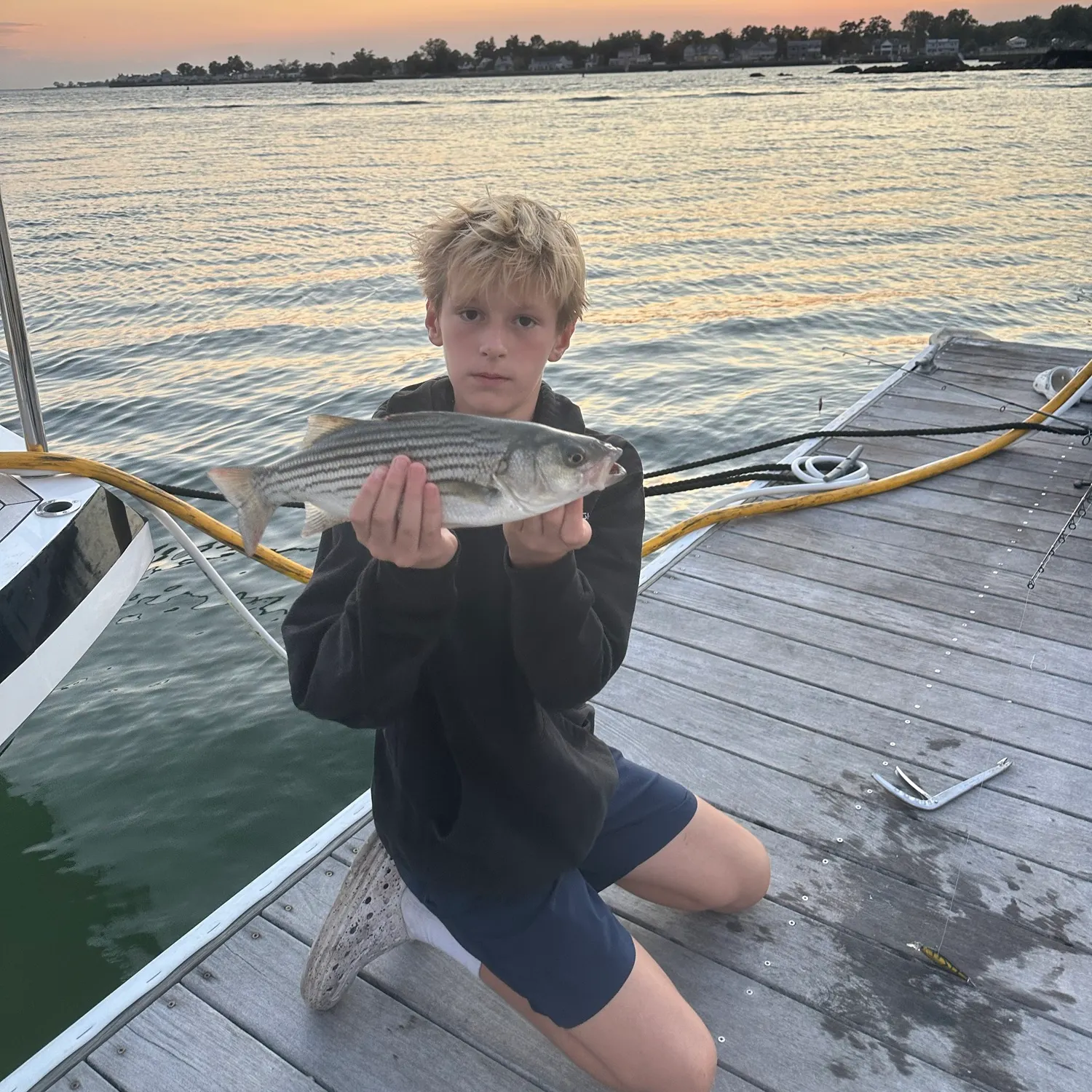 Striped bass caught on Fishbrain