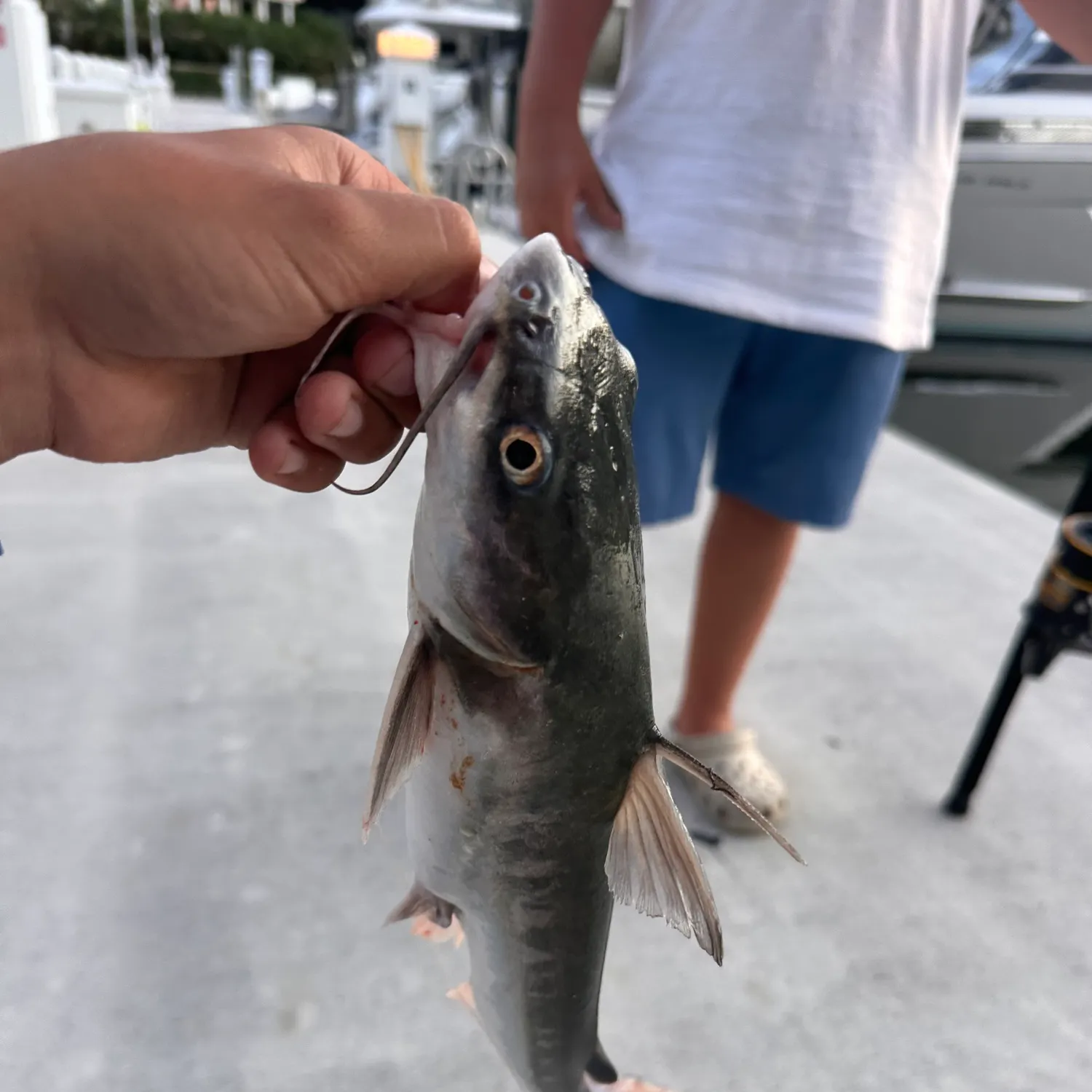 catch