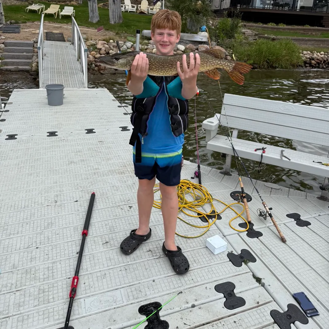 Northern pike caught on Fishbrain