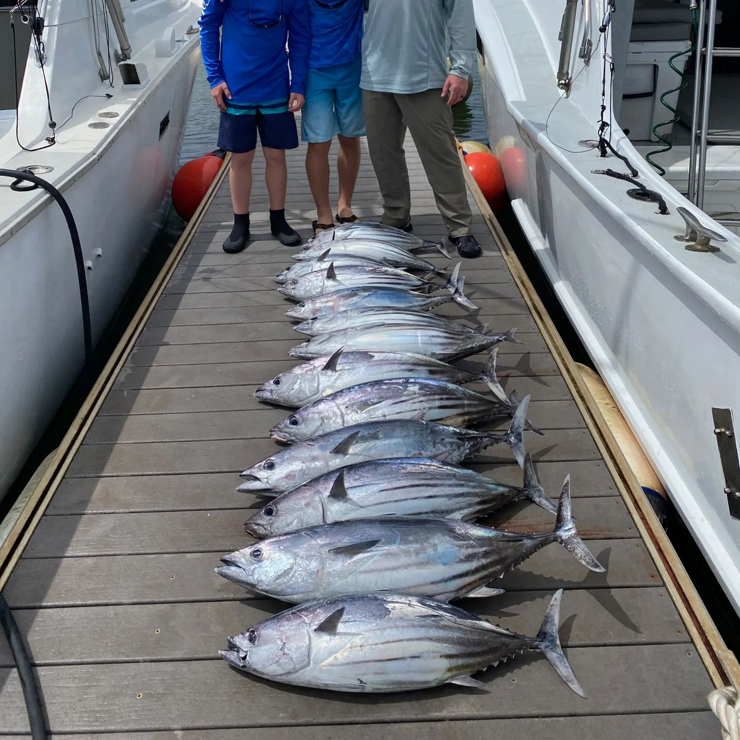 recently logged catches