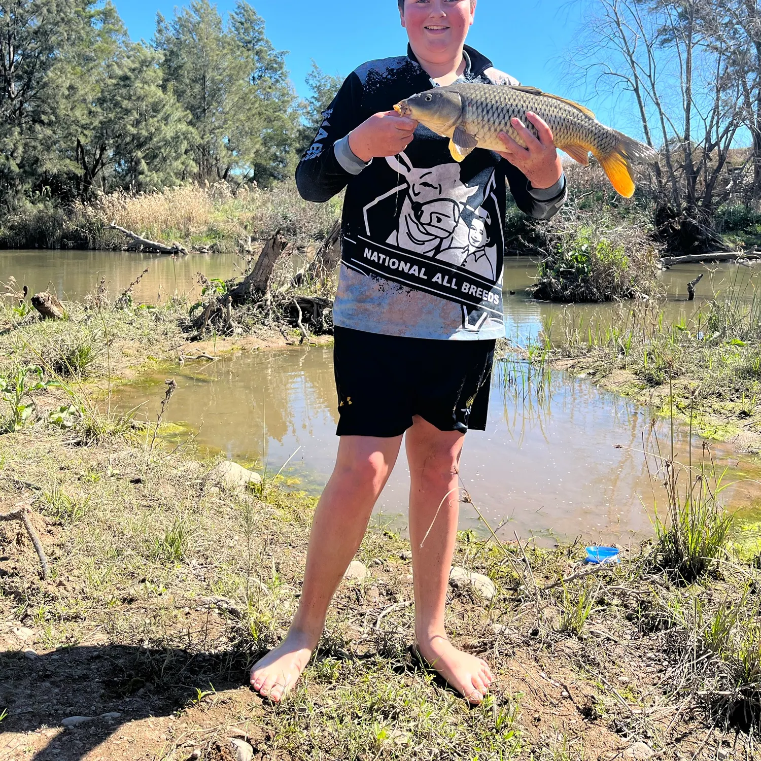 Common carp caught on Fishbrain