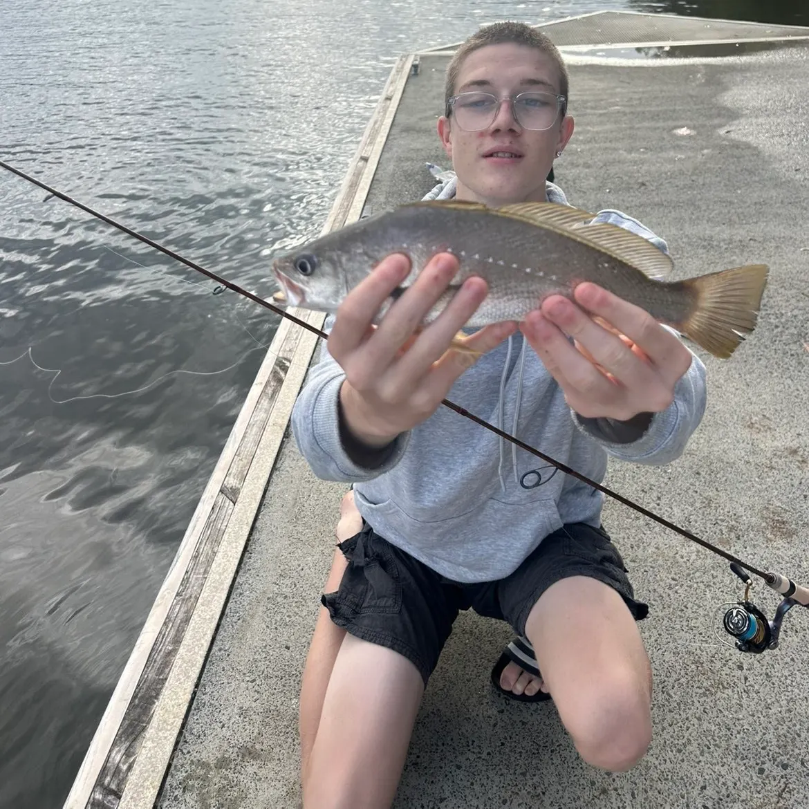 The most recent Japanese meagre catches on Fishbrain