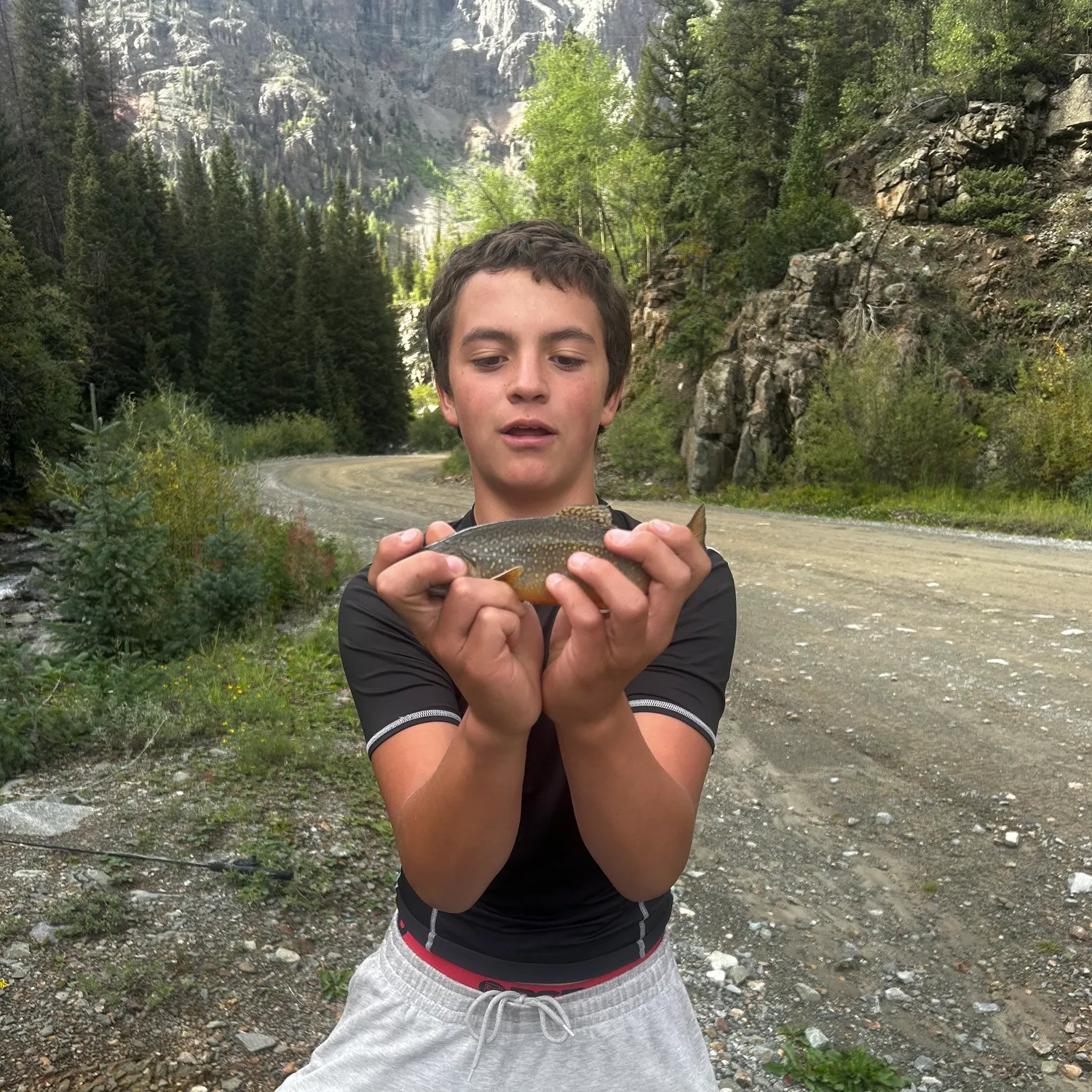 Fish caught on Fishbrain