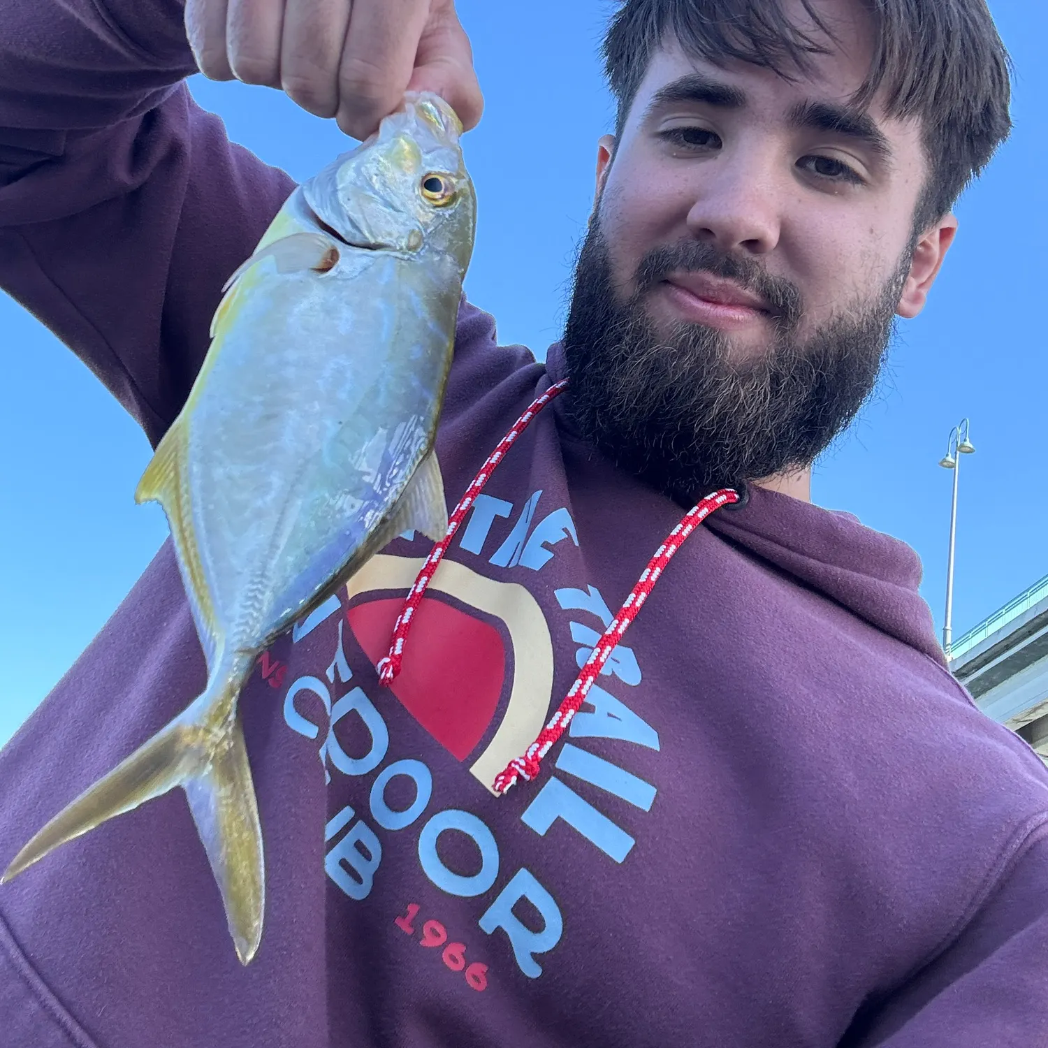 The most recent Yellow jack catches on Fishbrain