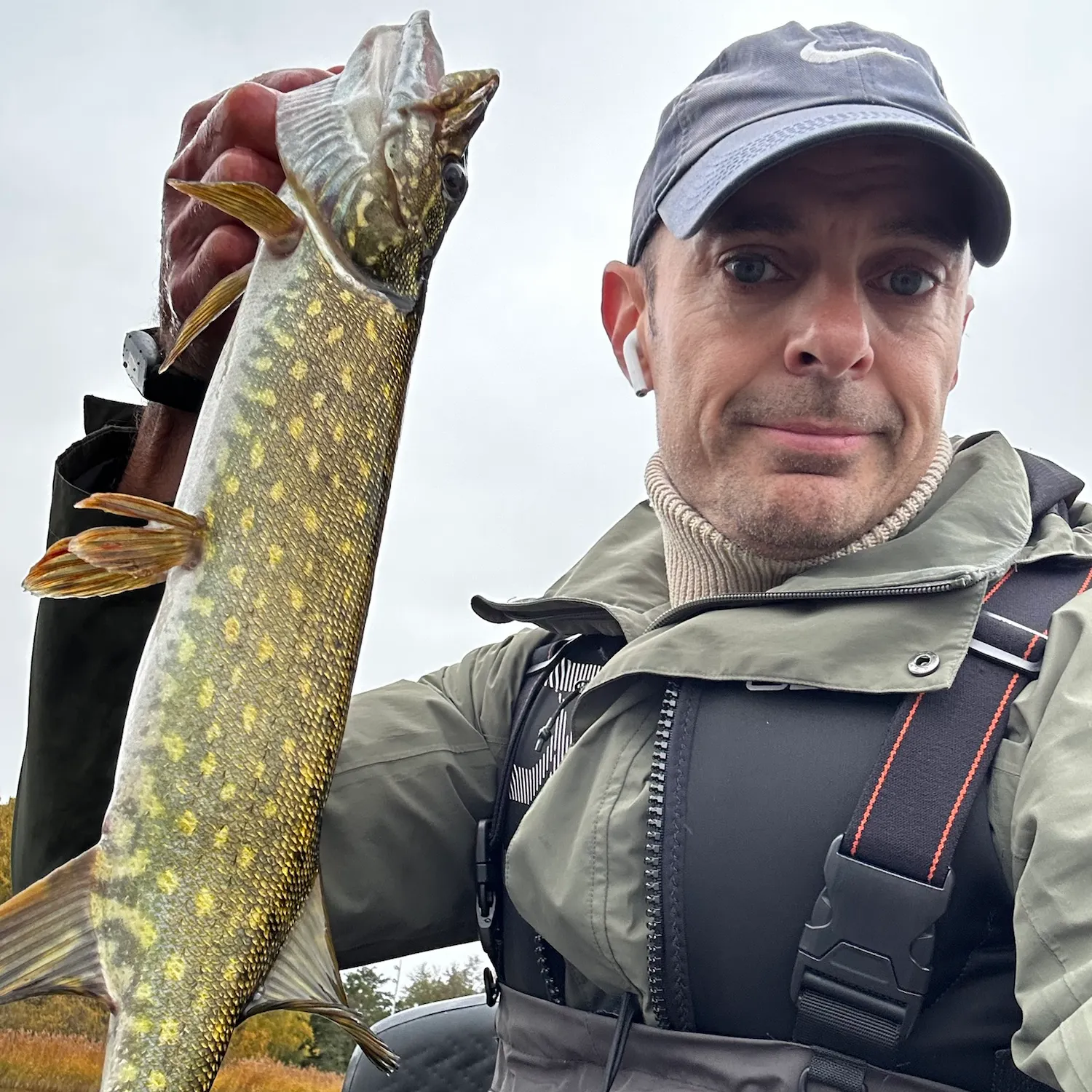 Northern pike caught on Fishbrain