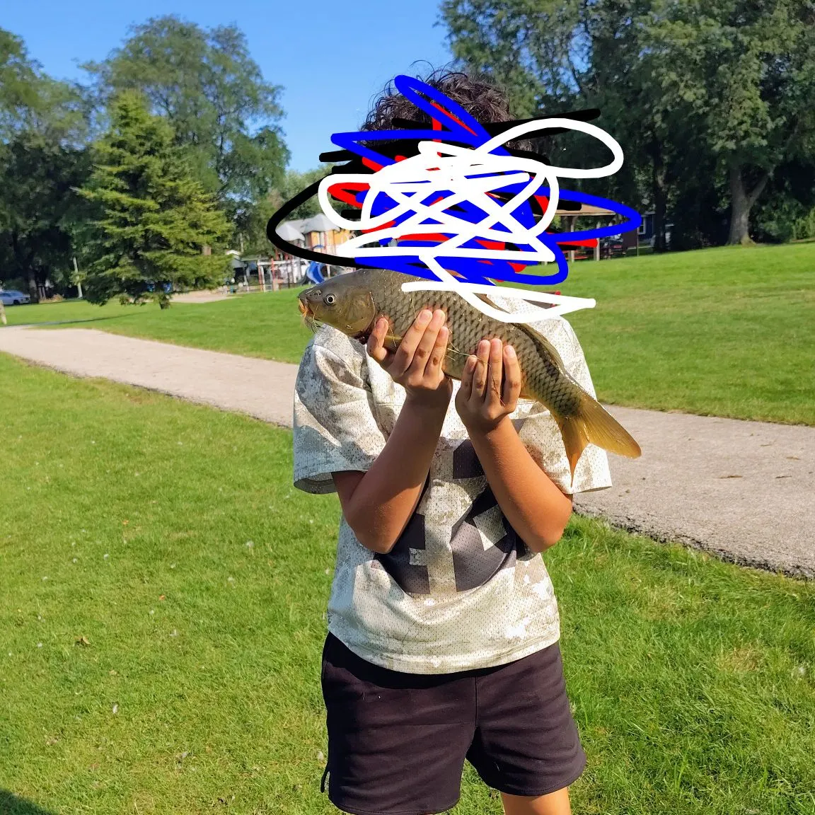 Common carp caught on Fishbrain