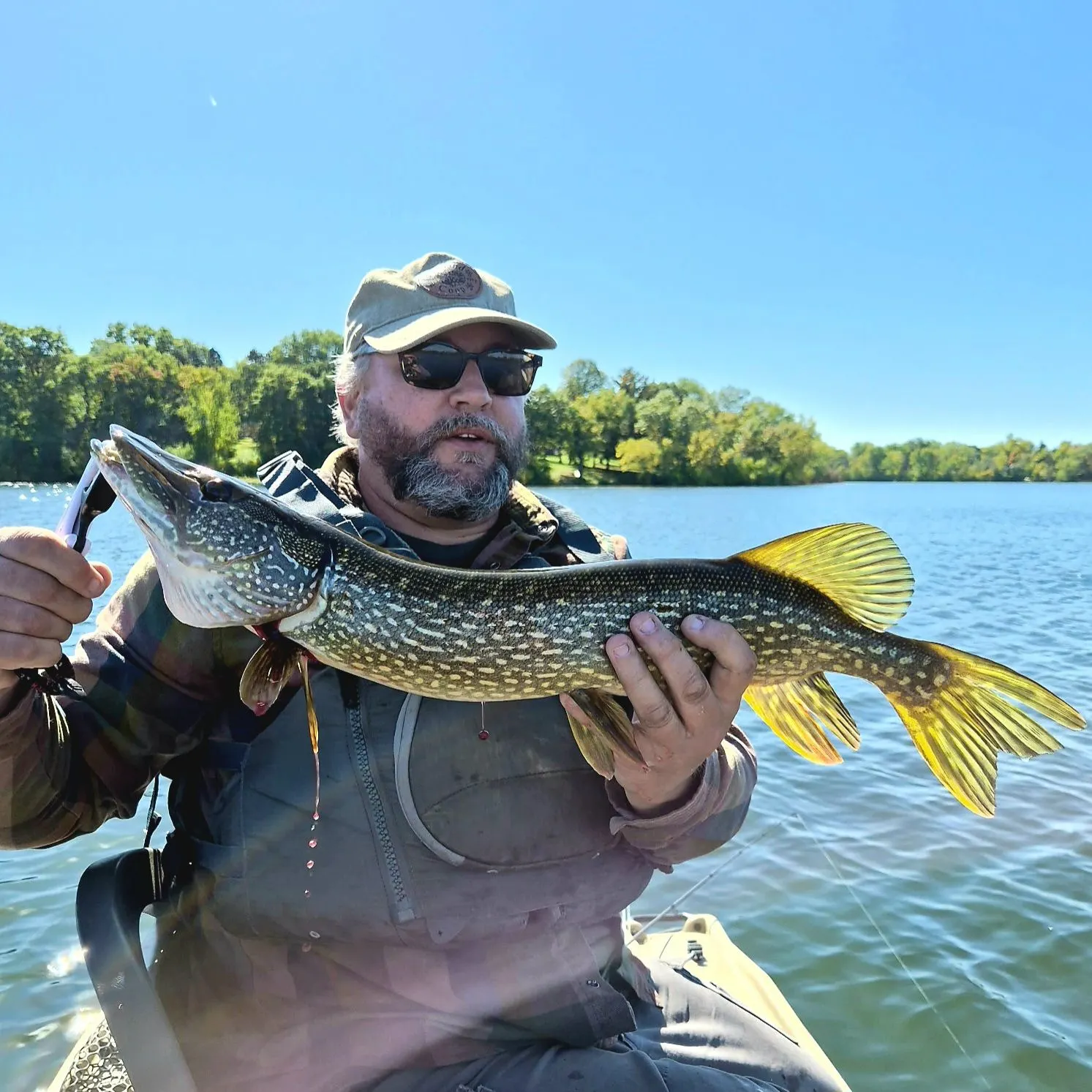 Northern pike caught on Fishbrain