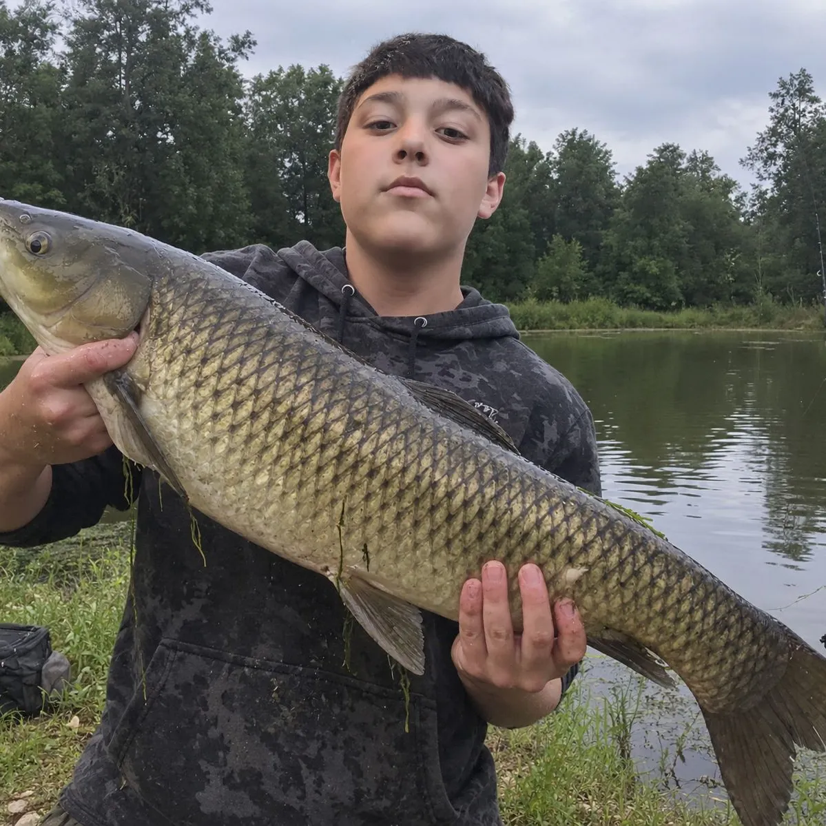 Common carp caught on Fishbrain