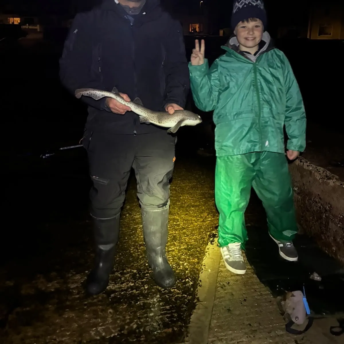 Lesser spotted dogfish caught on Fishbrain