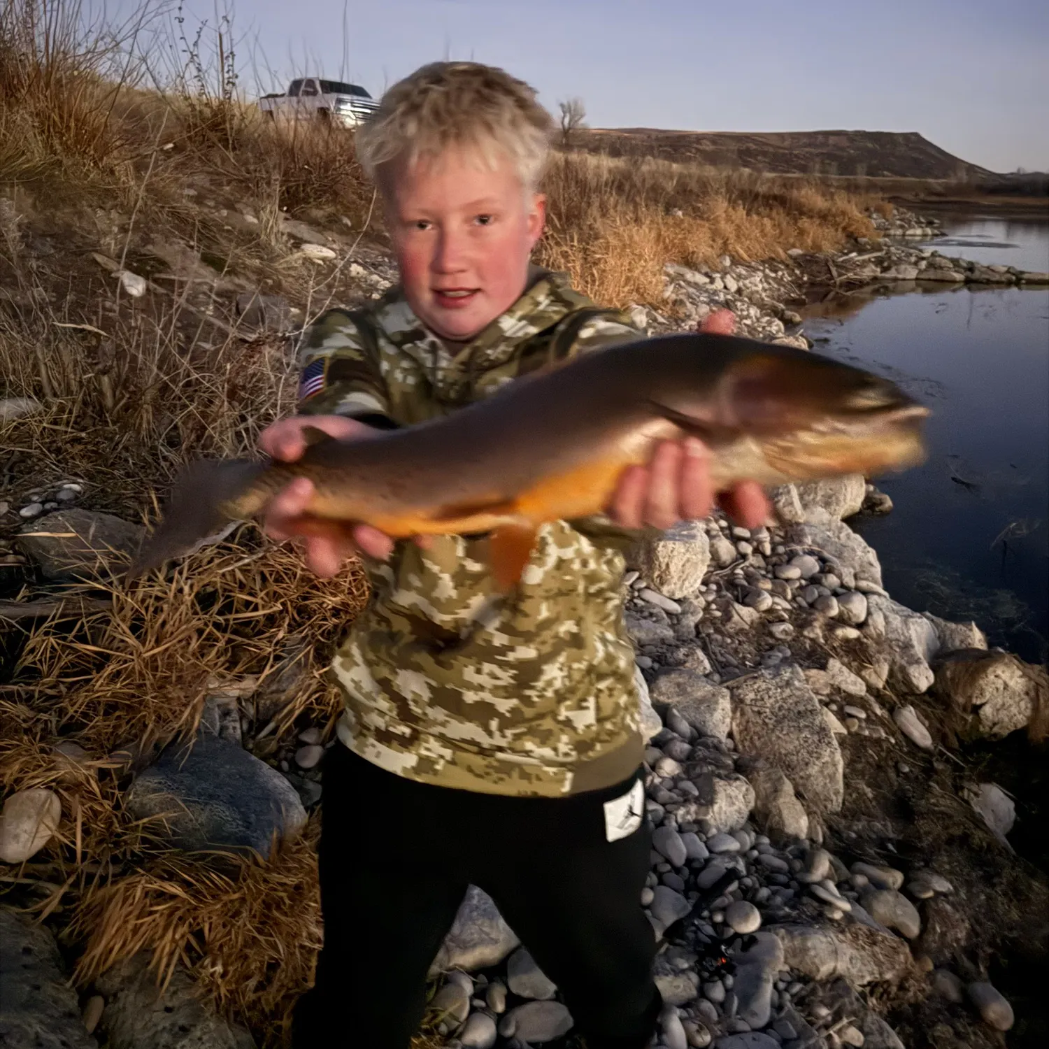 The most recent Golden trout catches on Fishbrain