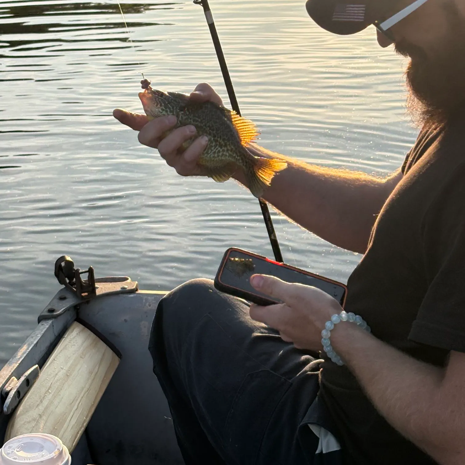 The most recent Pumpkinseed catches on Fishbrain