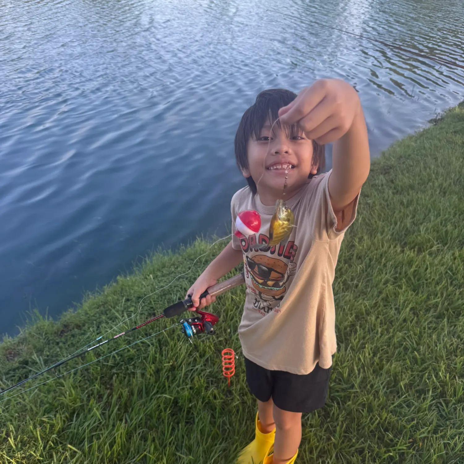 Green sunfish caught on Fishbrain