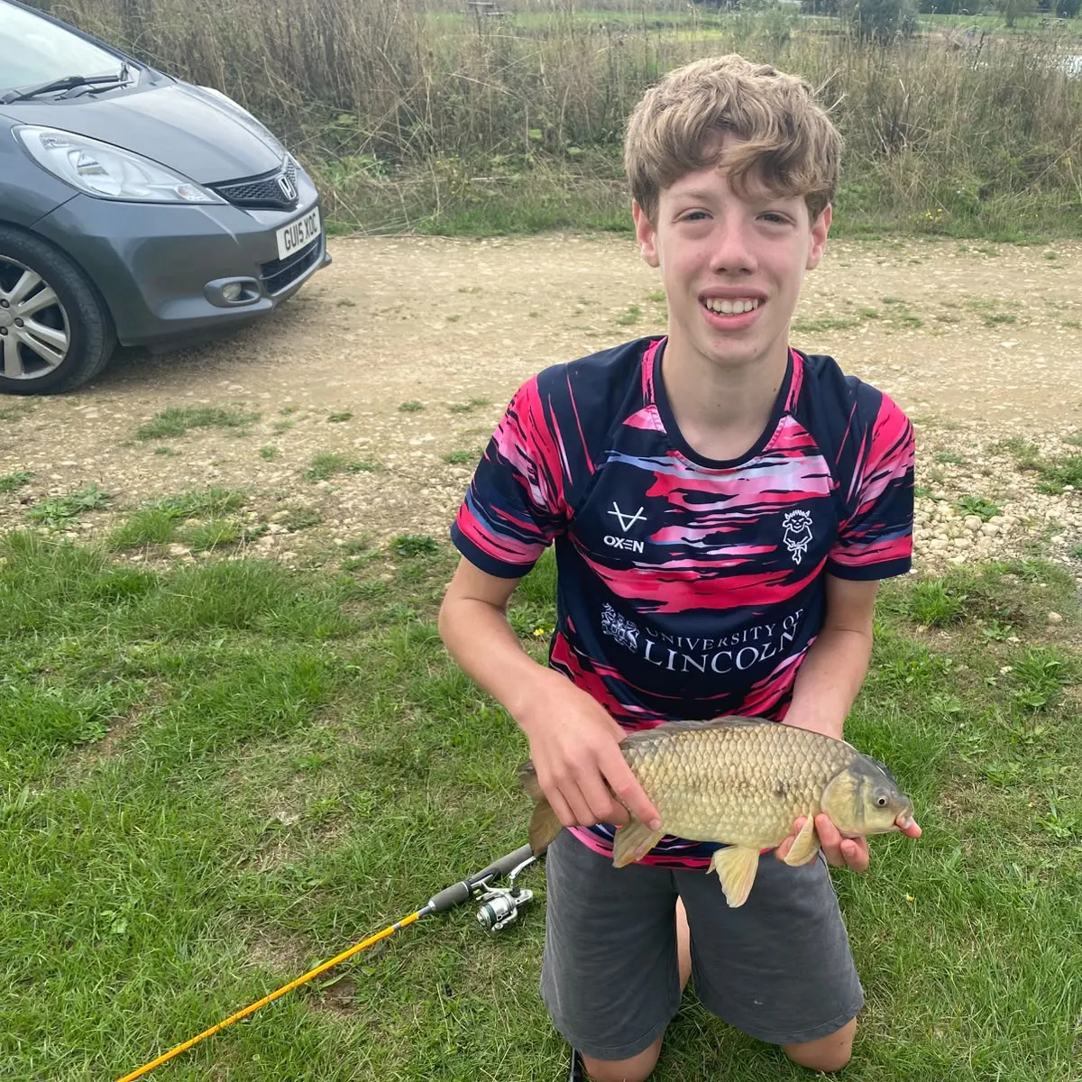 Common carp caught on Fishbrain