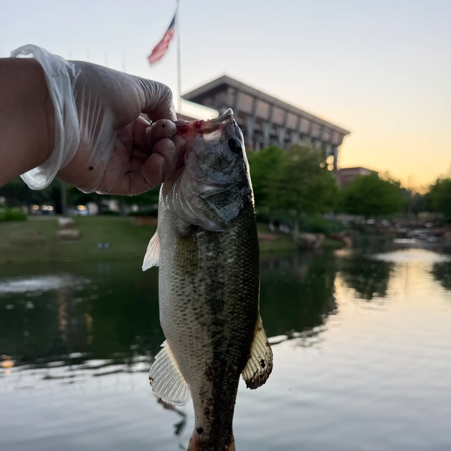 catch