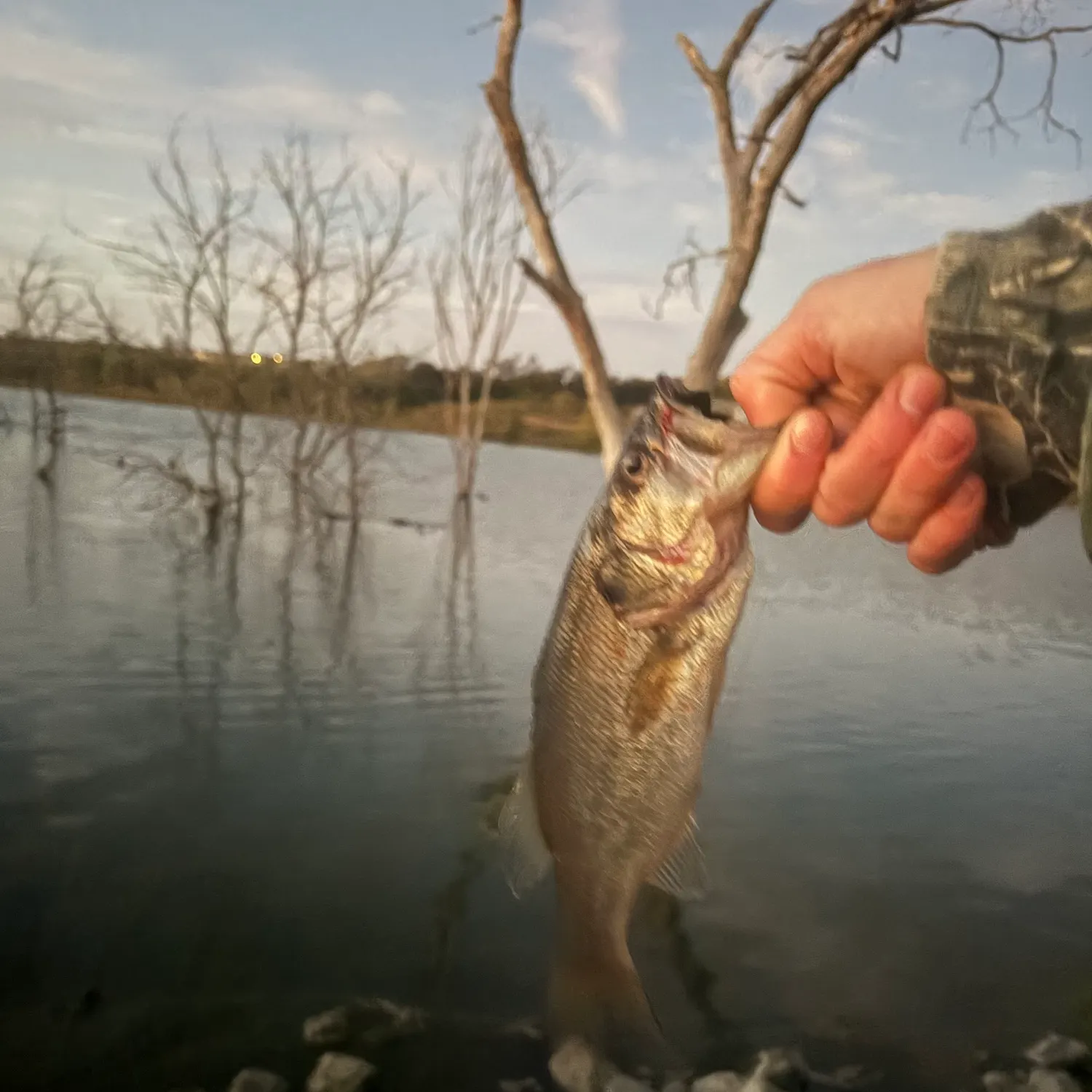 catch