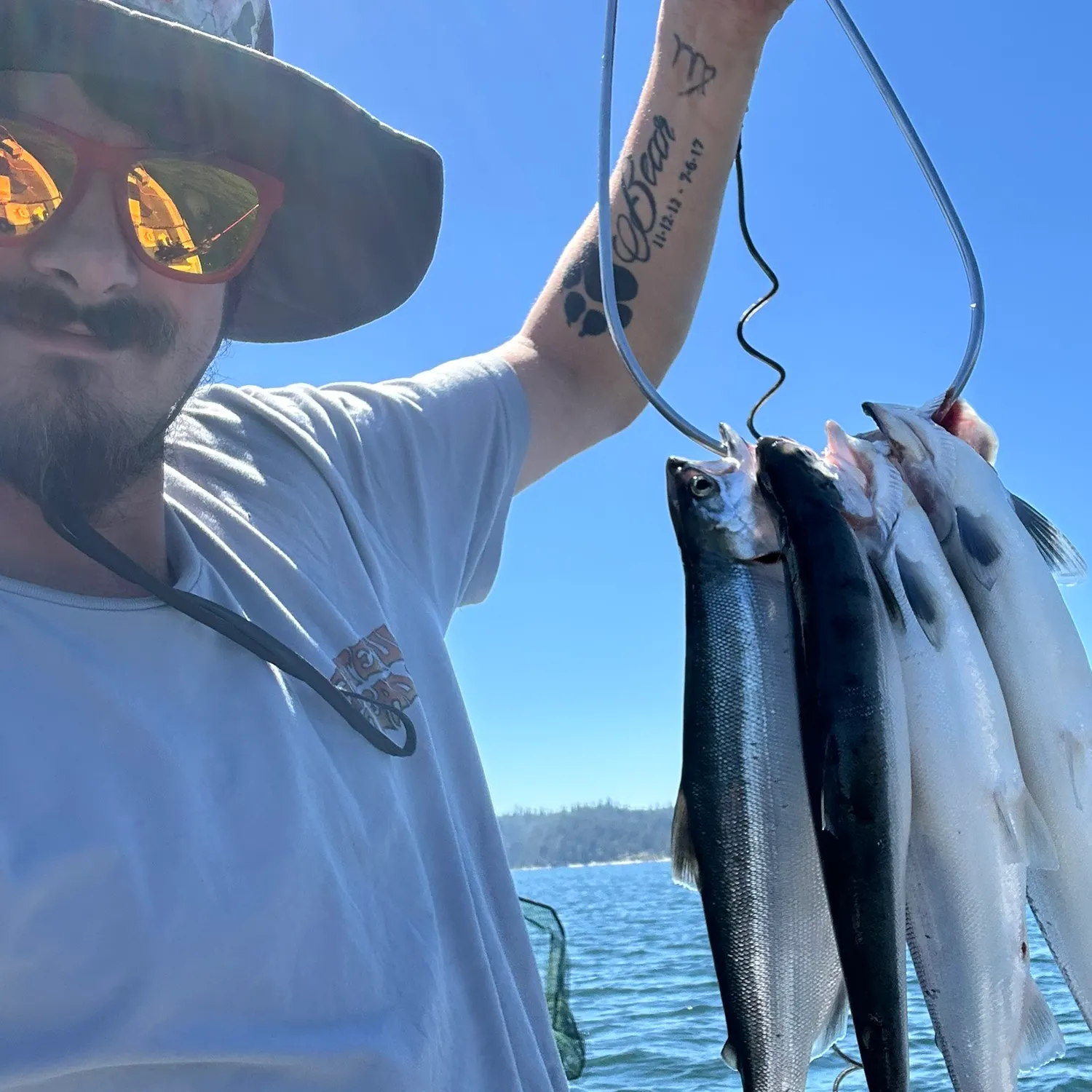 The most recent Kokanee salmon catches on Fishbrain