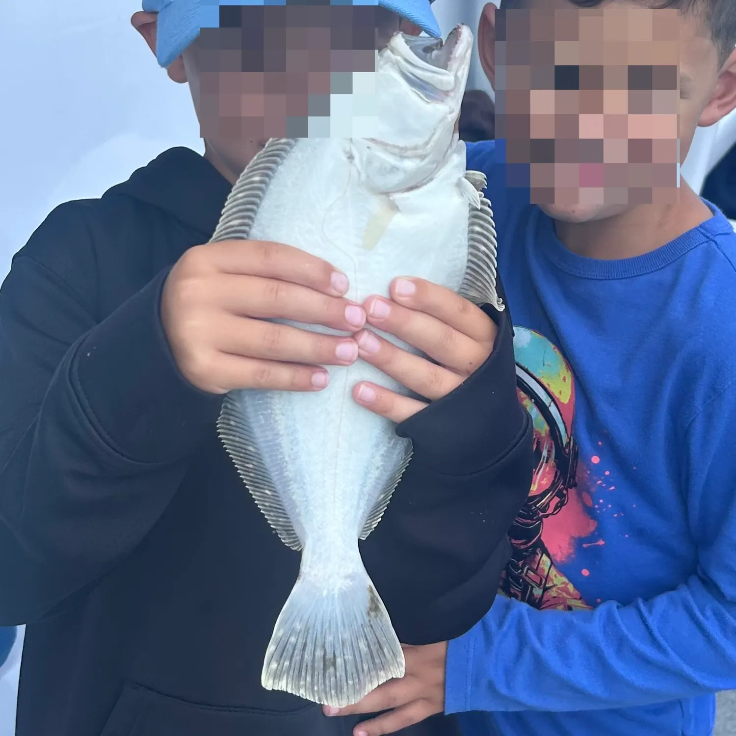 Summer flounder caught on Fishbrain