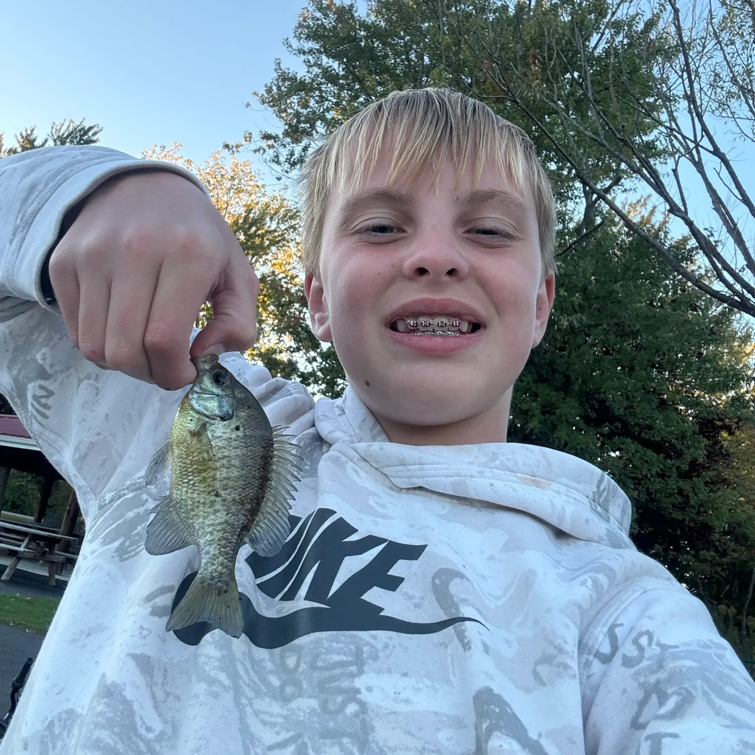 Bluegill caught on Fishbrain