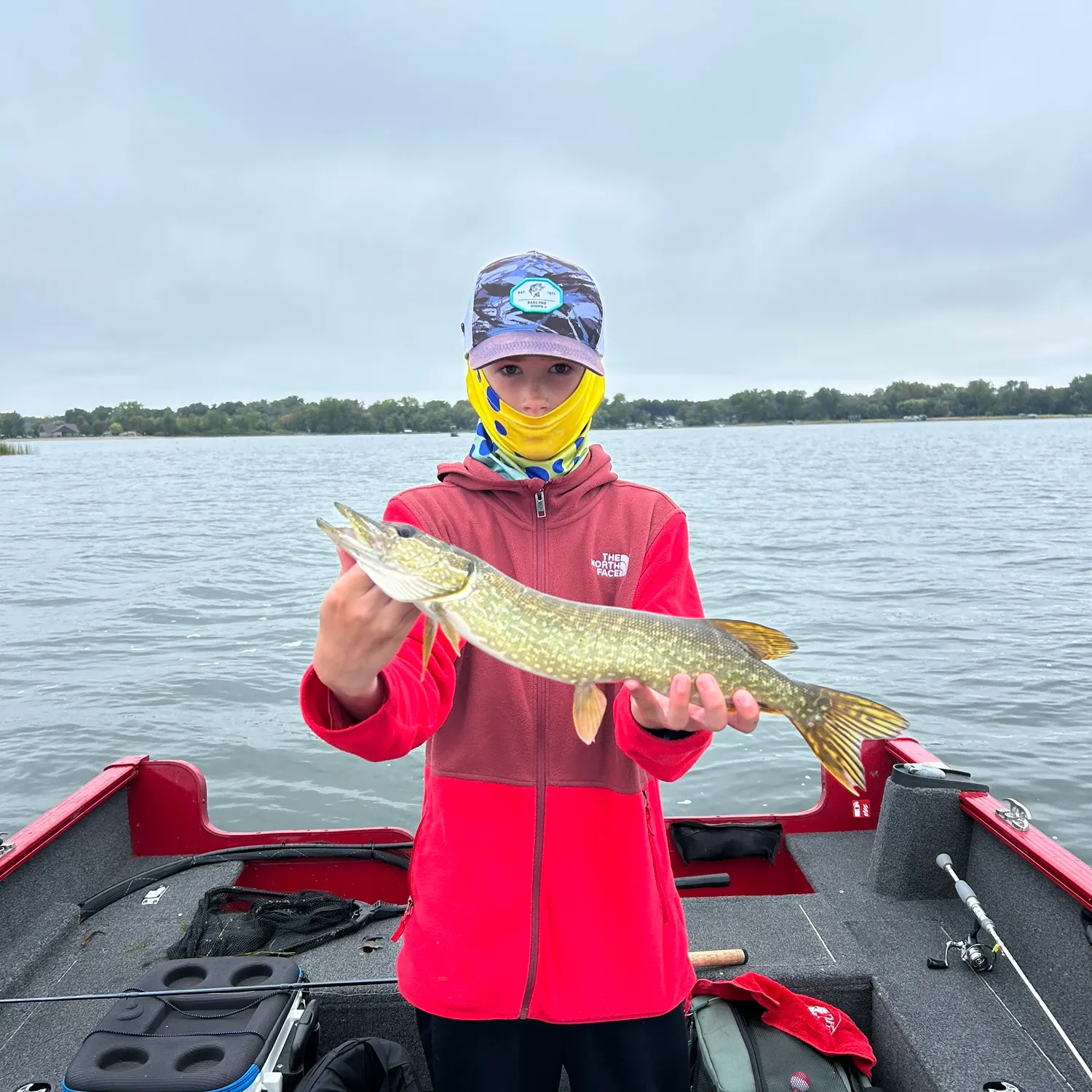Northern pike caught on Fishbrain