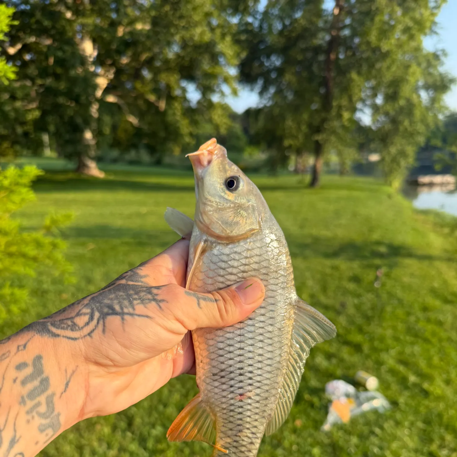 catch