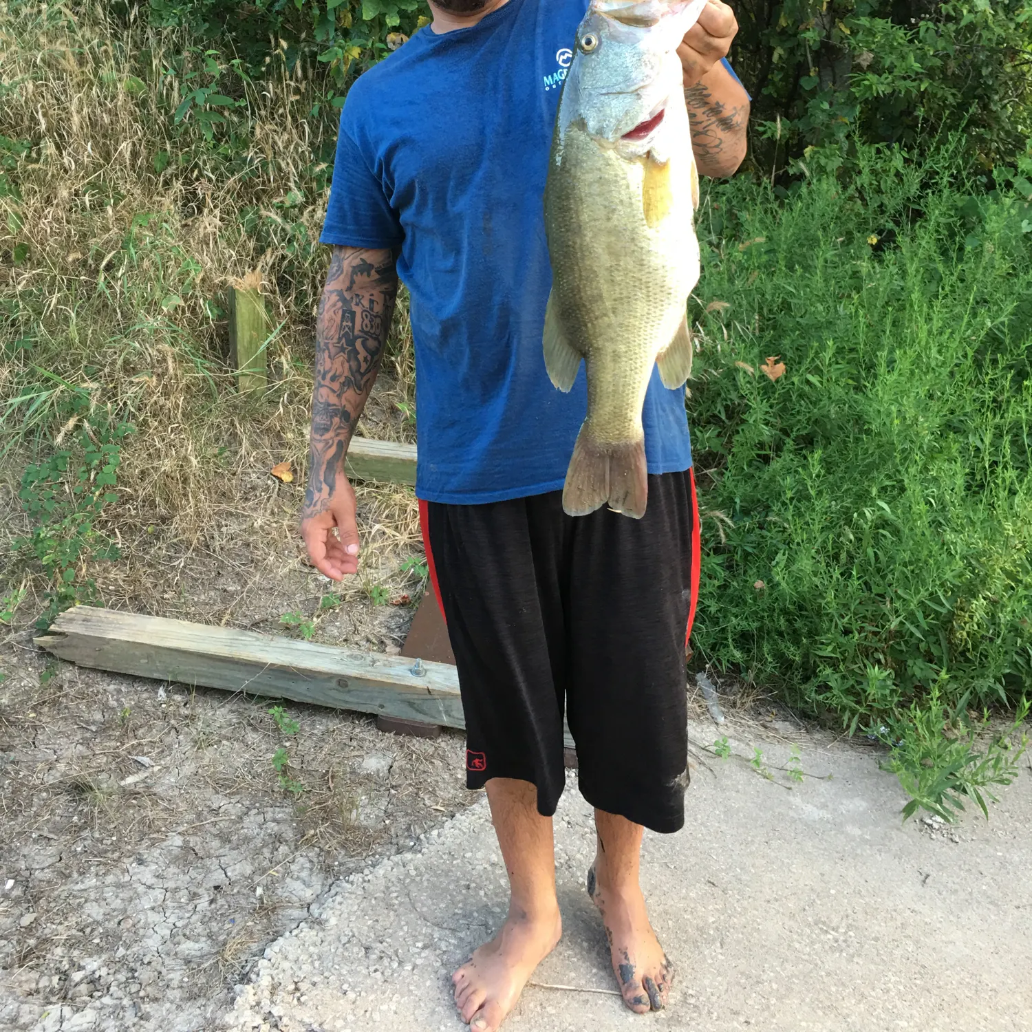 recently logged catches