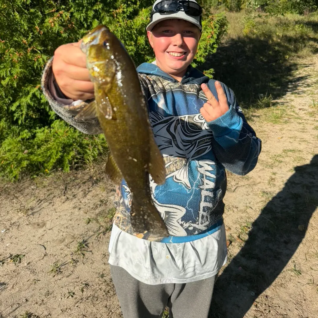 Fish caught on Fishbrain