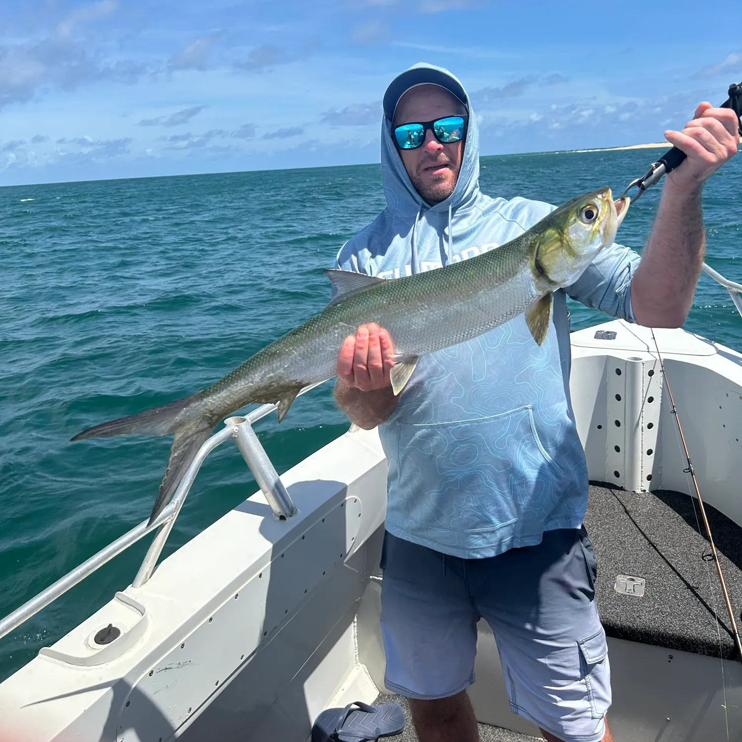 The most recent Hawaiian ladyfish catches on Fishbrain