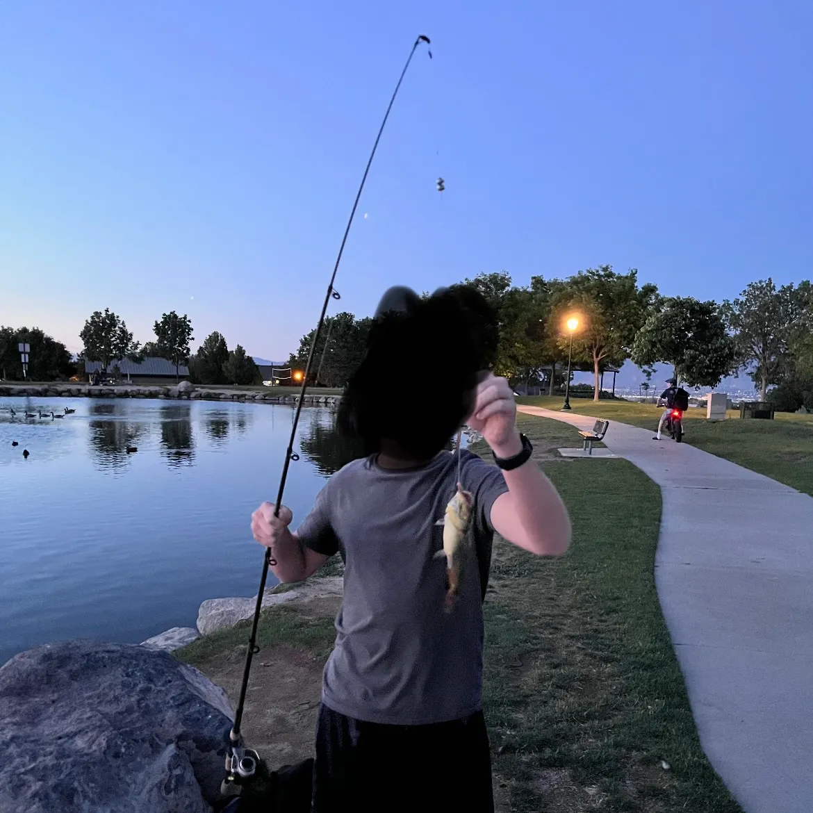 catch