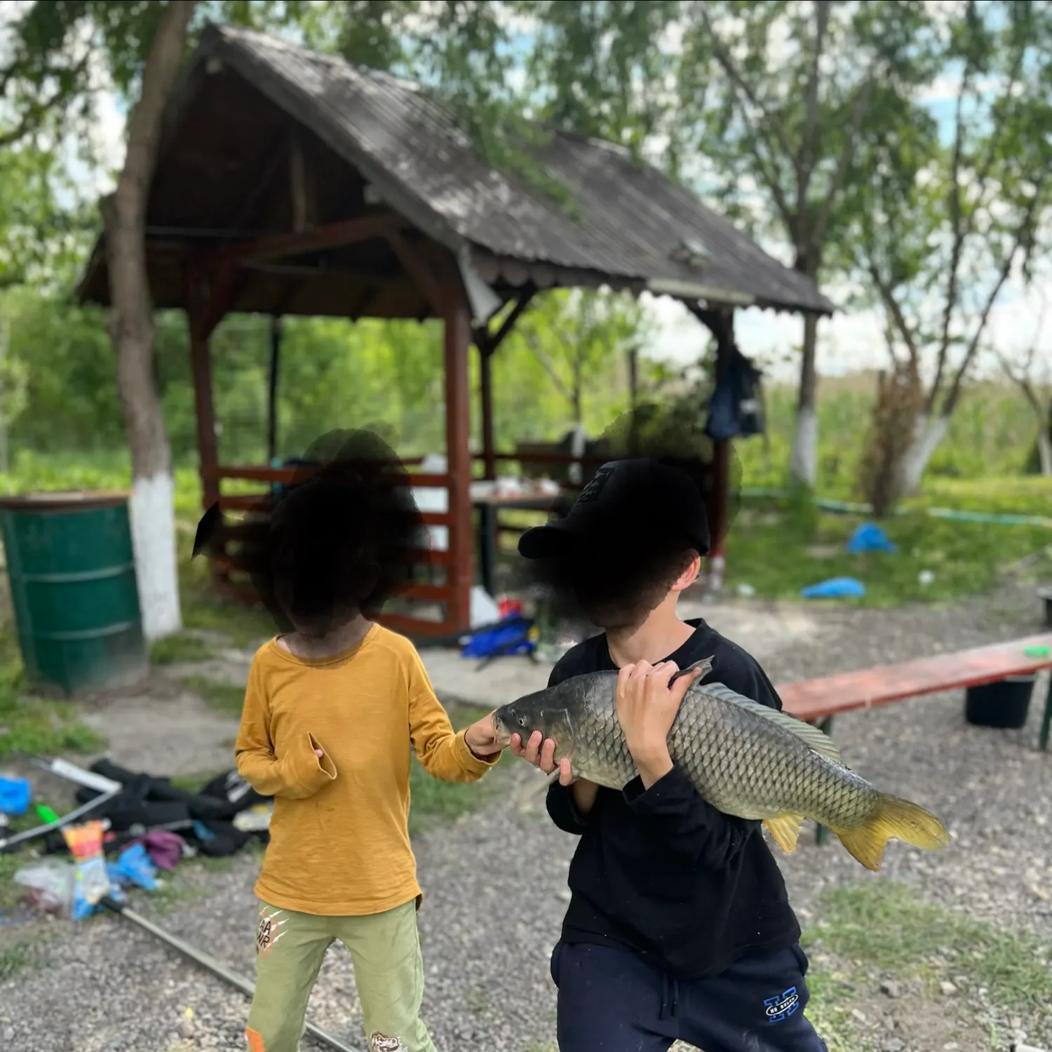 Common carp caught on Fishbrain