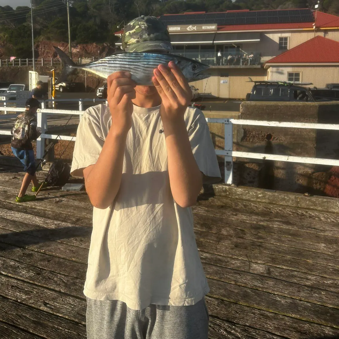 The most recent Australian bonito catches on Fishbrain