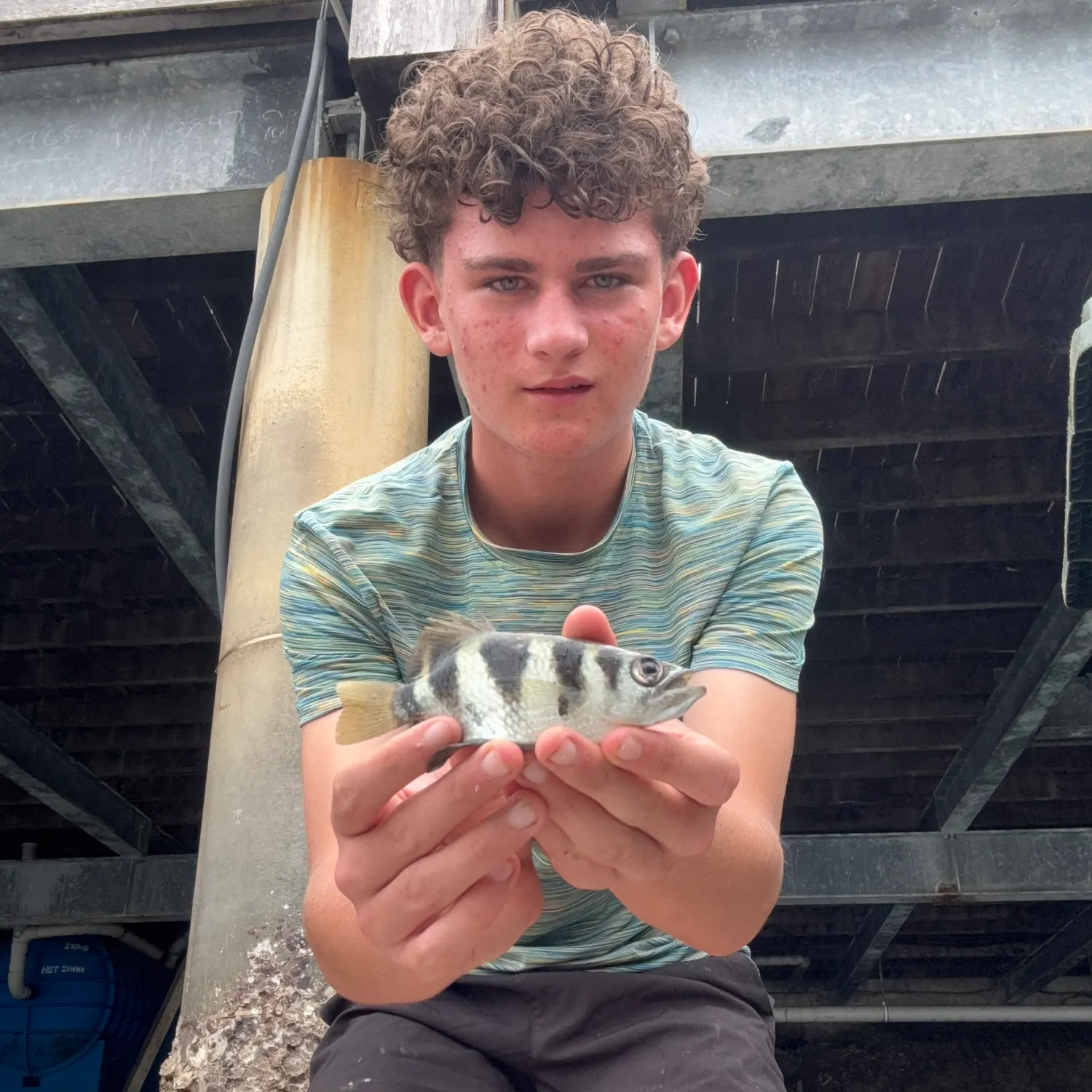 The most recent Banded archerfish catches on Fishbrain