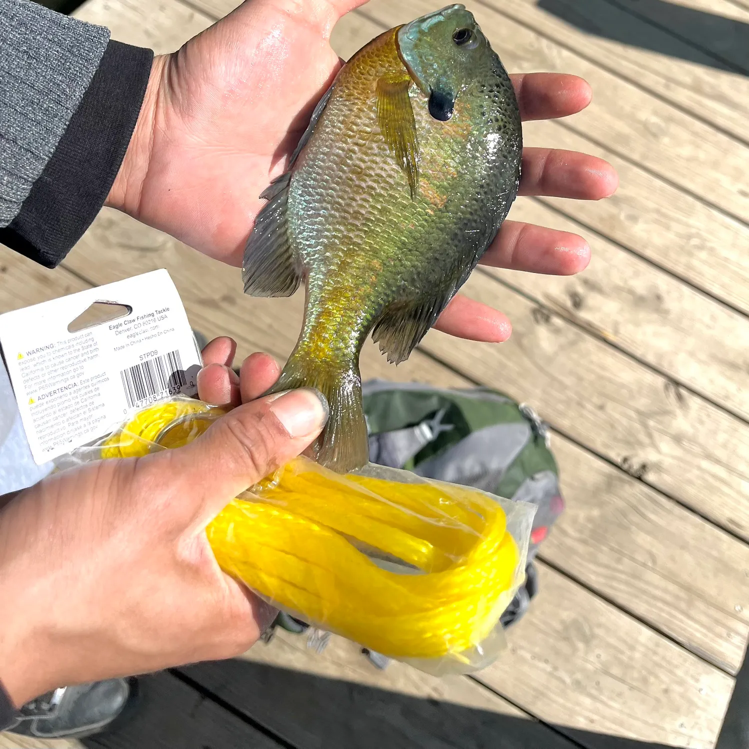 catch