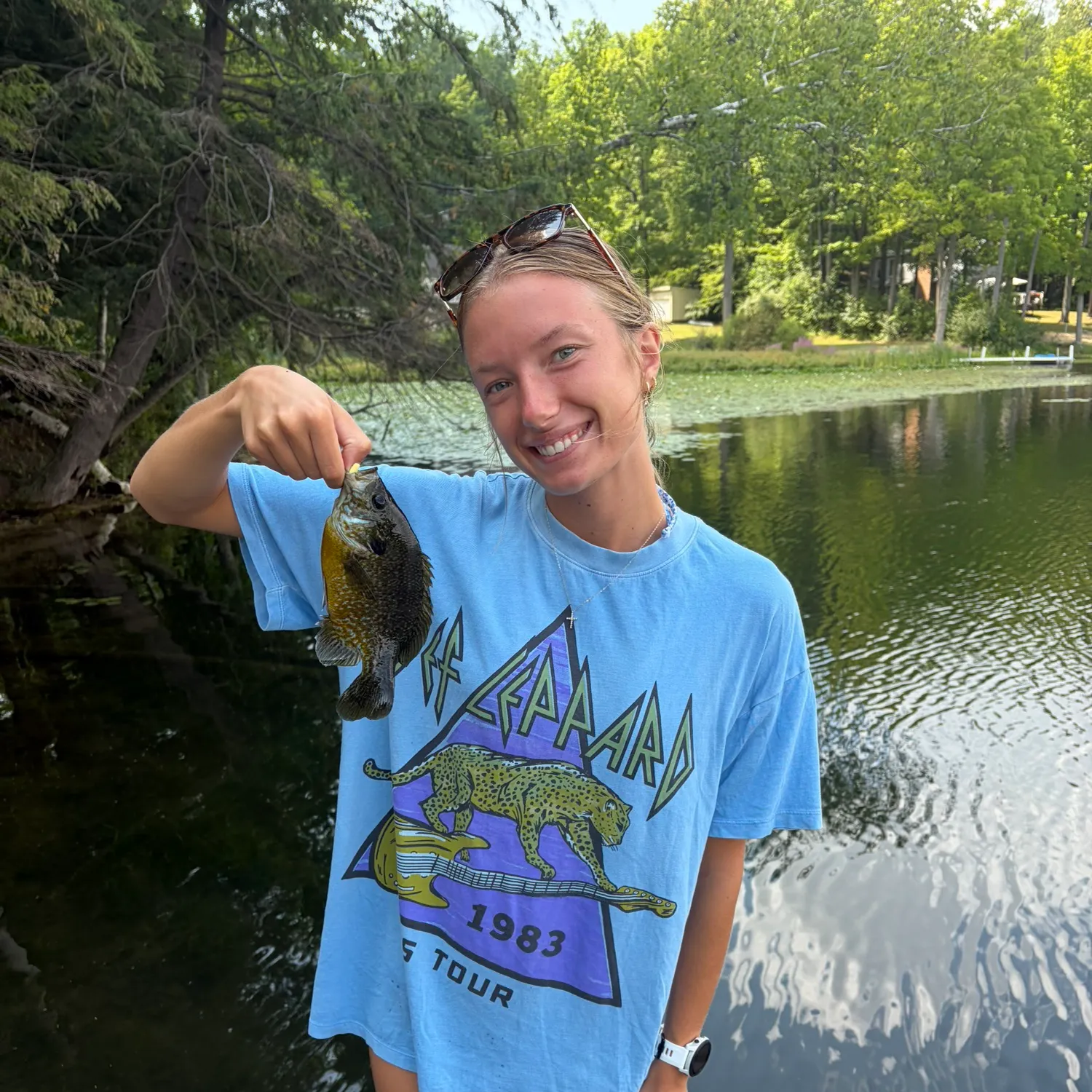 Bluegill caught on Fishbrain
