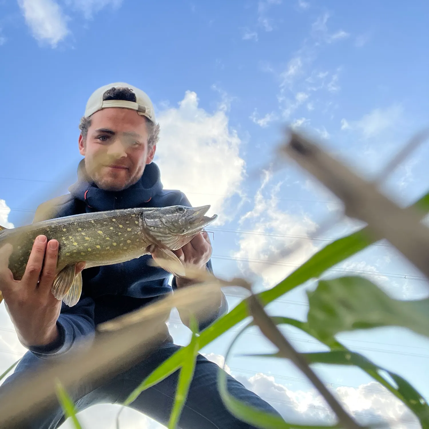 The most recent Northern pike catches on Fishbrain