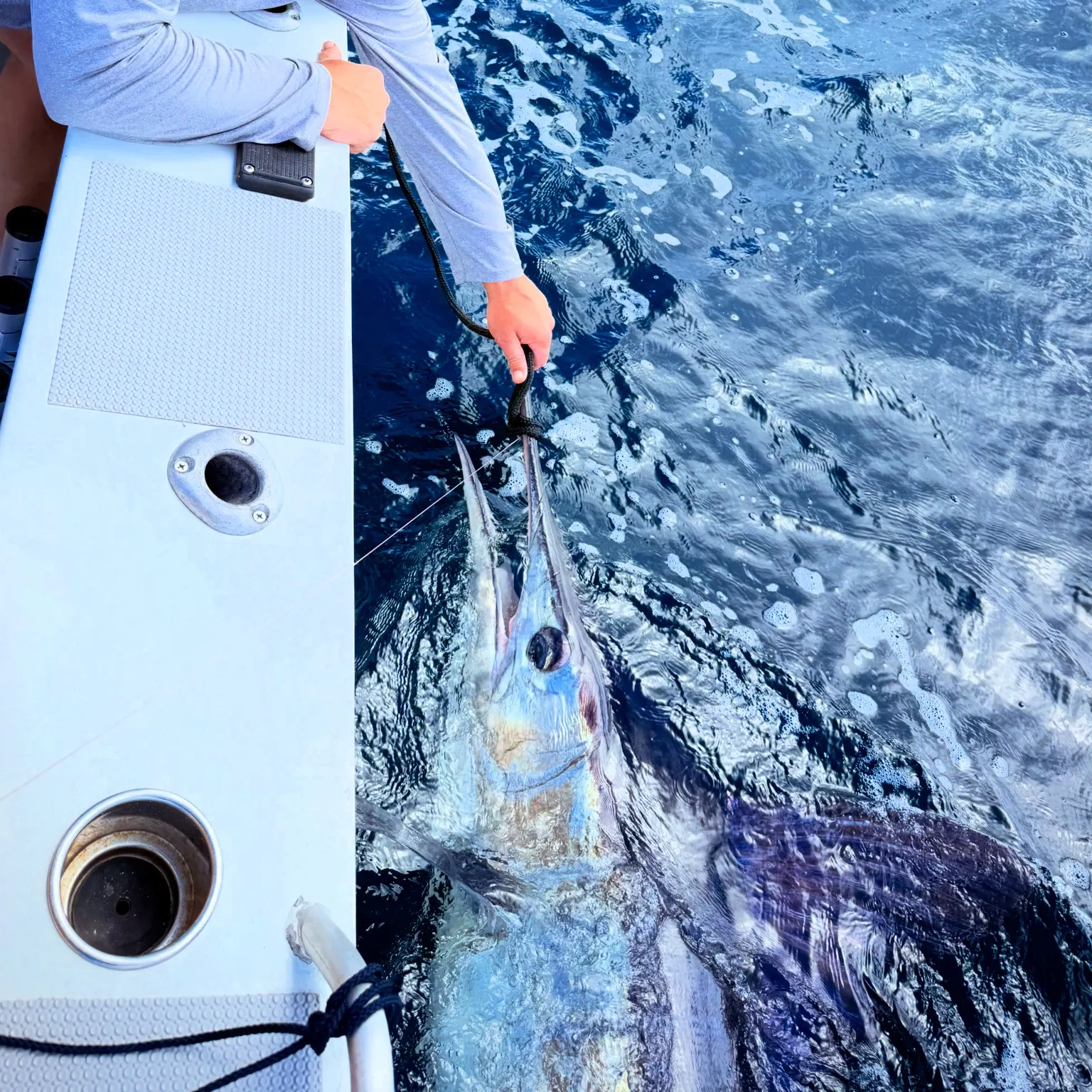 The most recent Striped marlin catches on Fishbrain