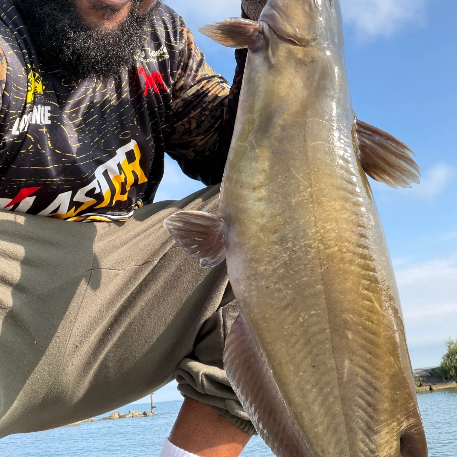 Channel catfish caught on Fishbrain