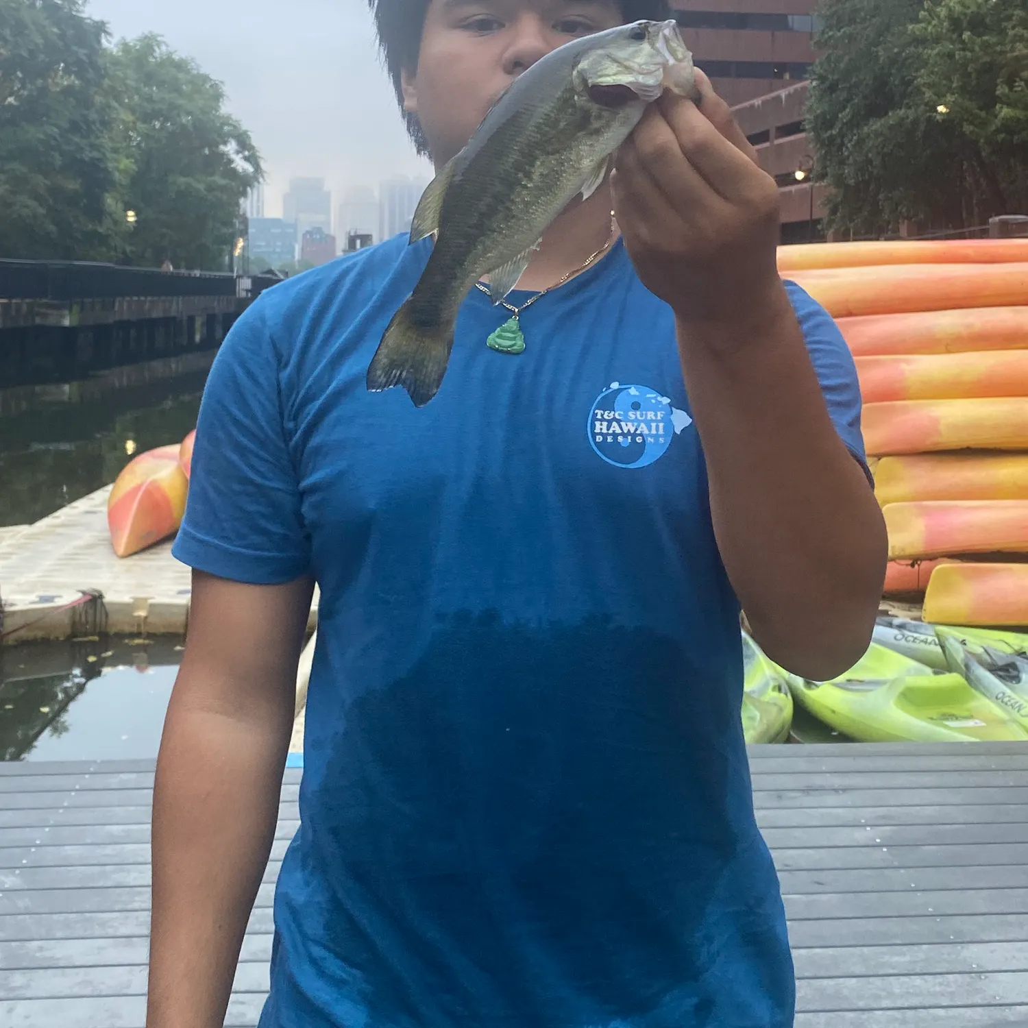 Largemouth bass caught on Fishbrain