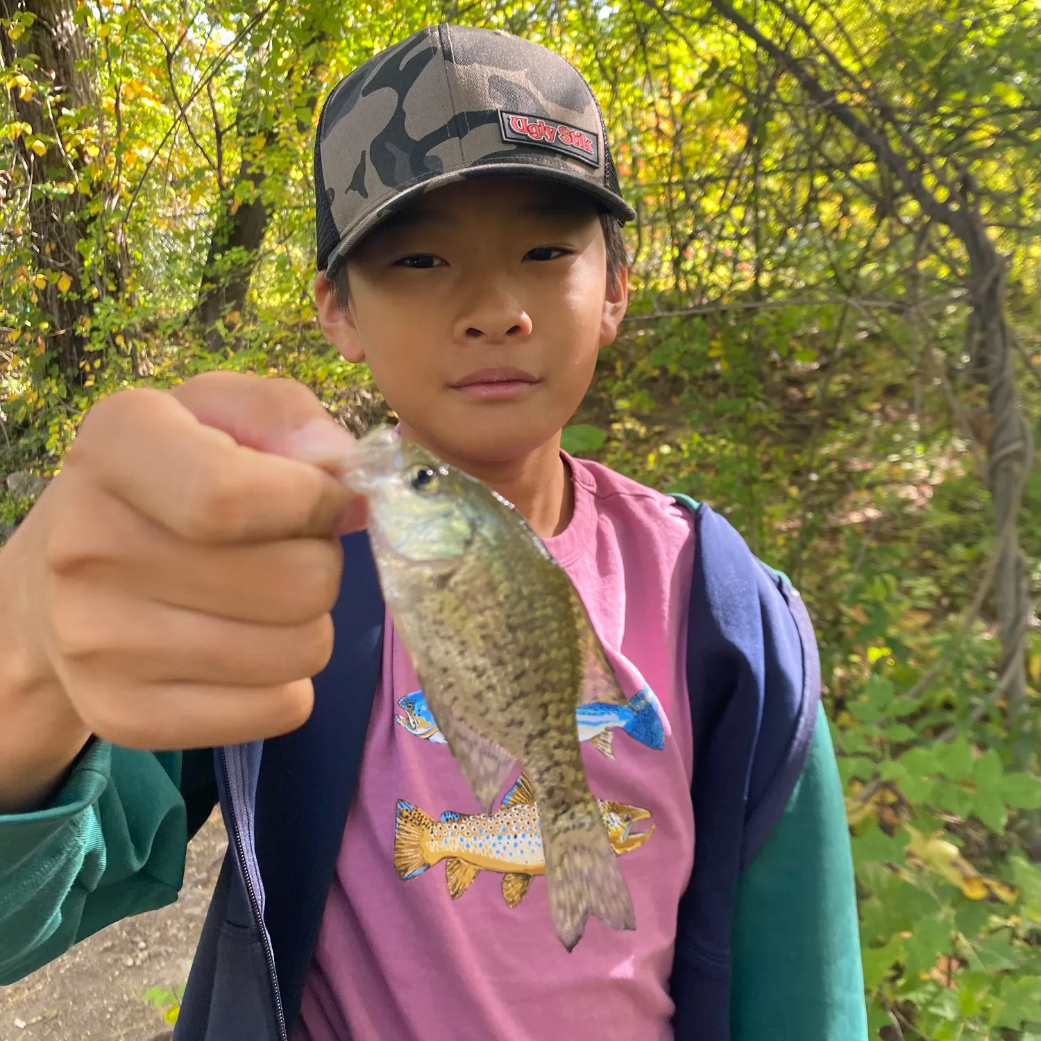 Black crappie caught on Fishbrain