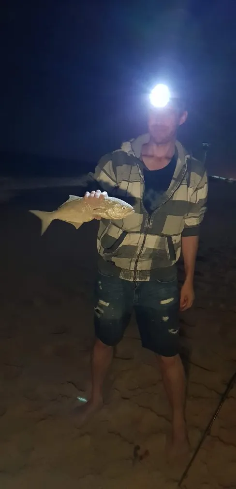 Post image from jaisleep