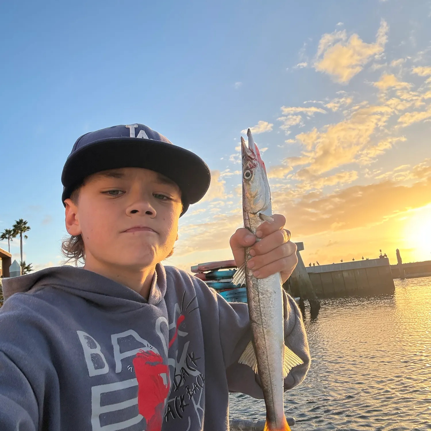 The most recent Pacific barracuda catches on Fishbrain