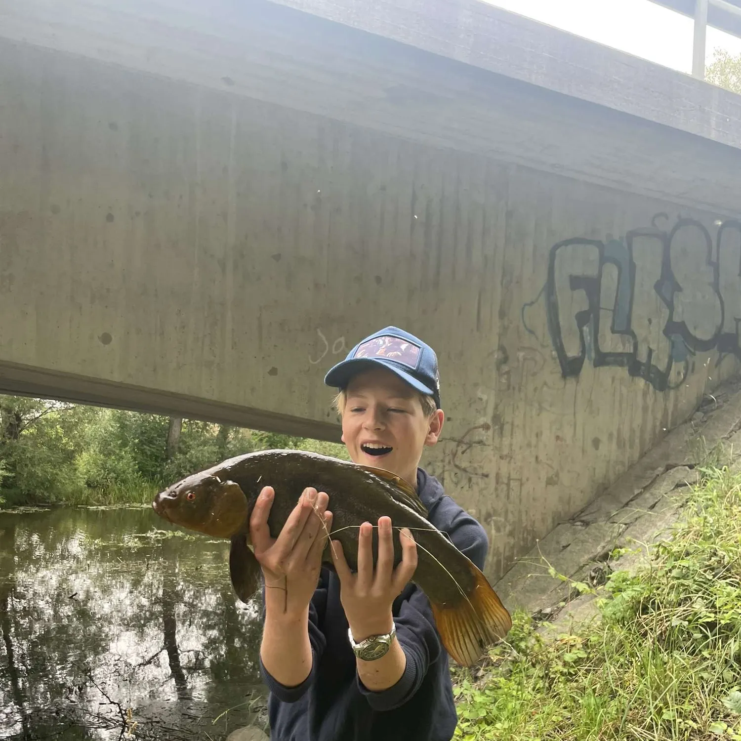 The most recent Tench catches on Fishbrain