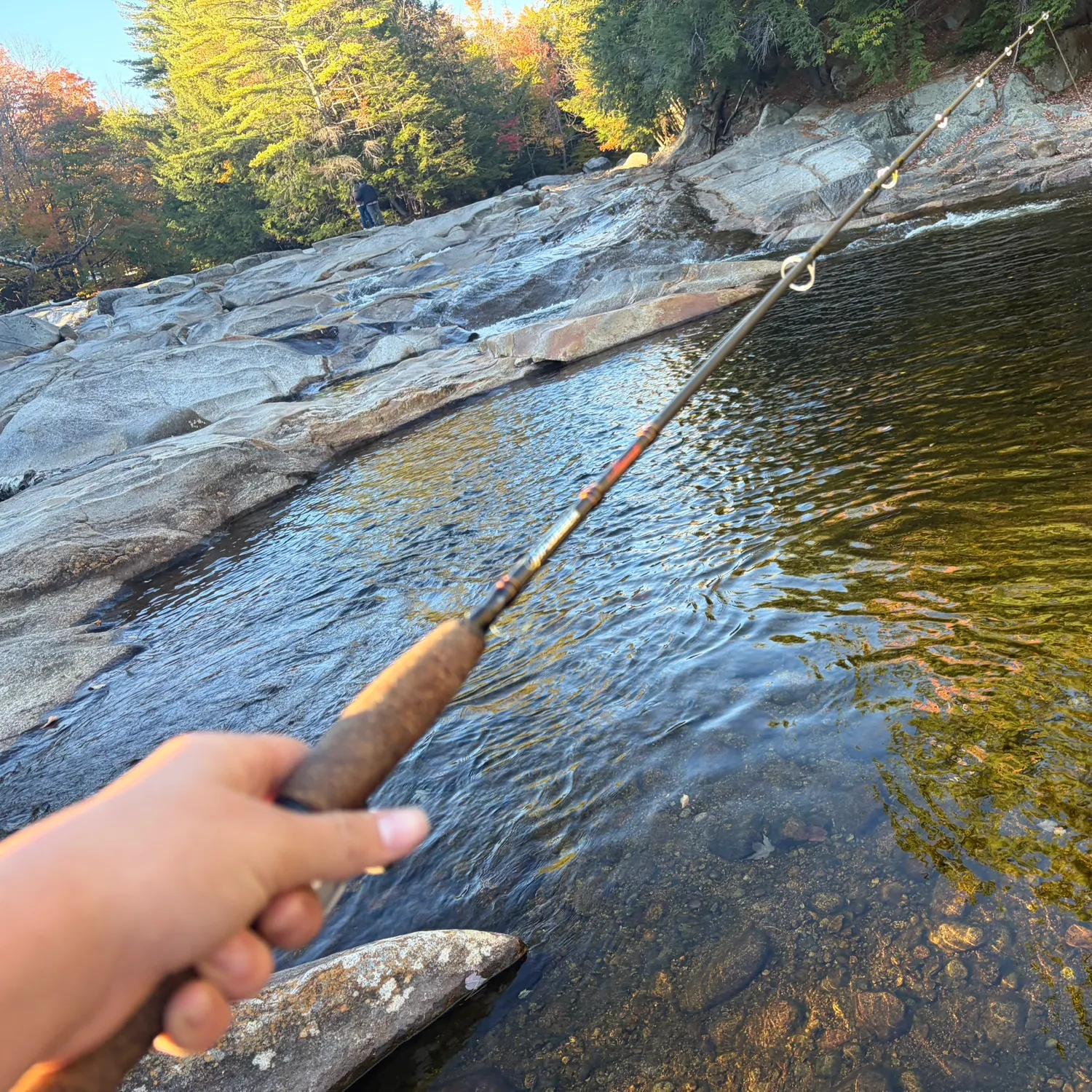 Brook trout caught on Fishbrain