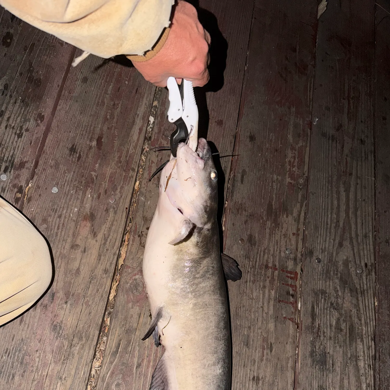 catch