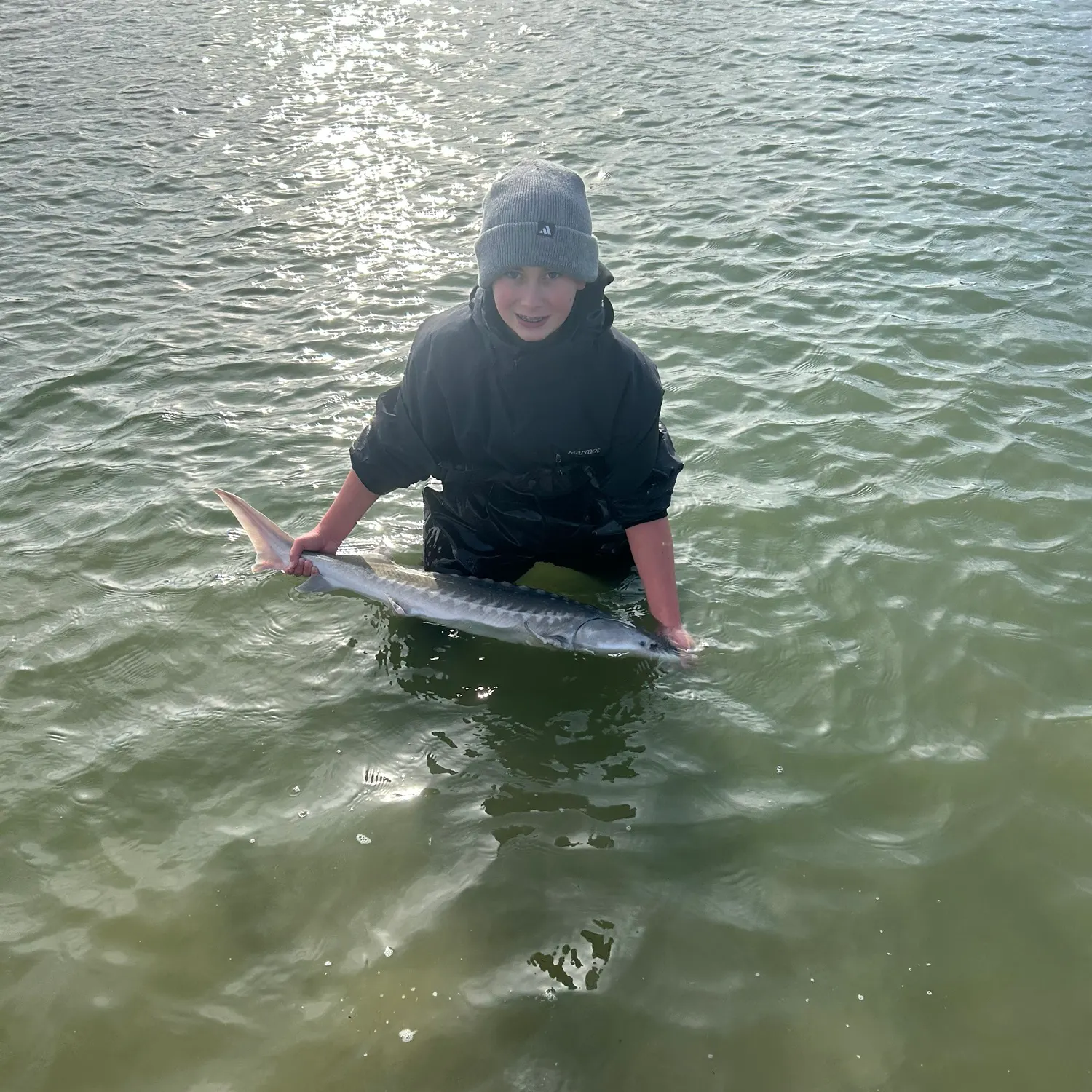 The most recent White sturgeon catches on Fishbrain
