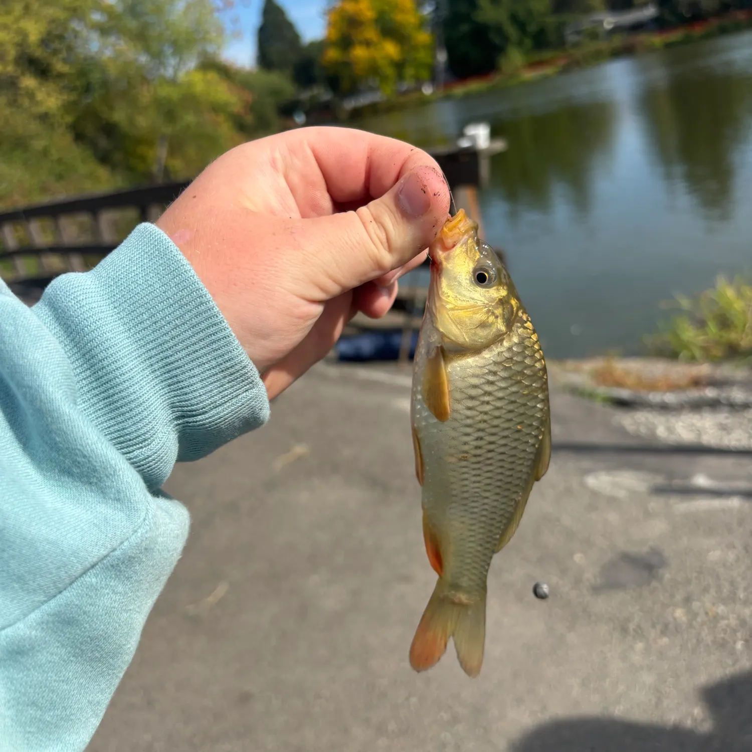 catch