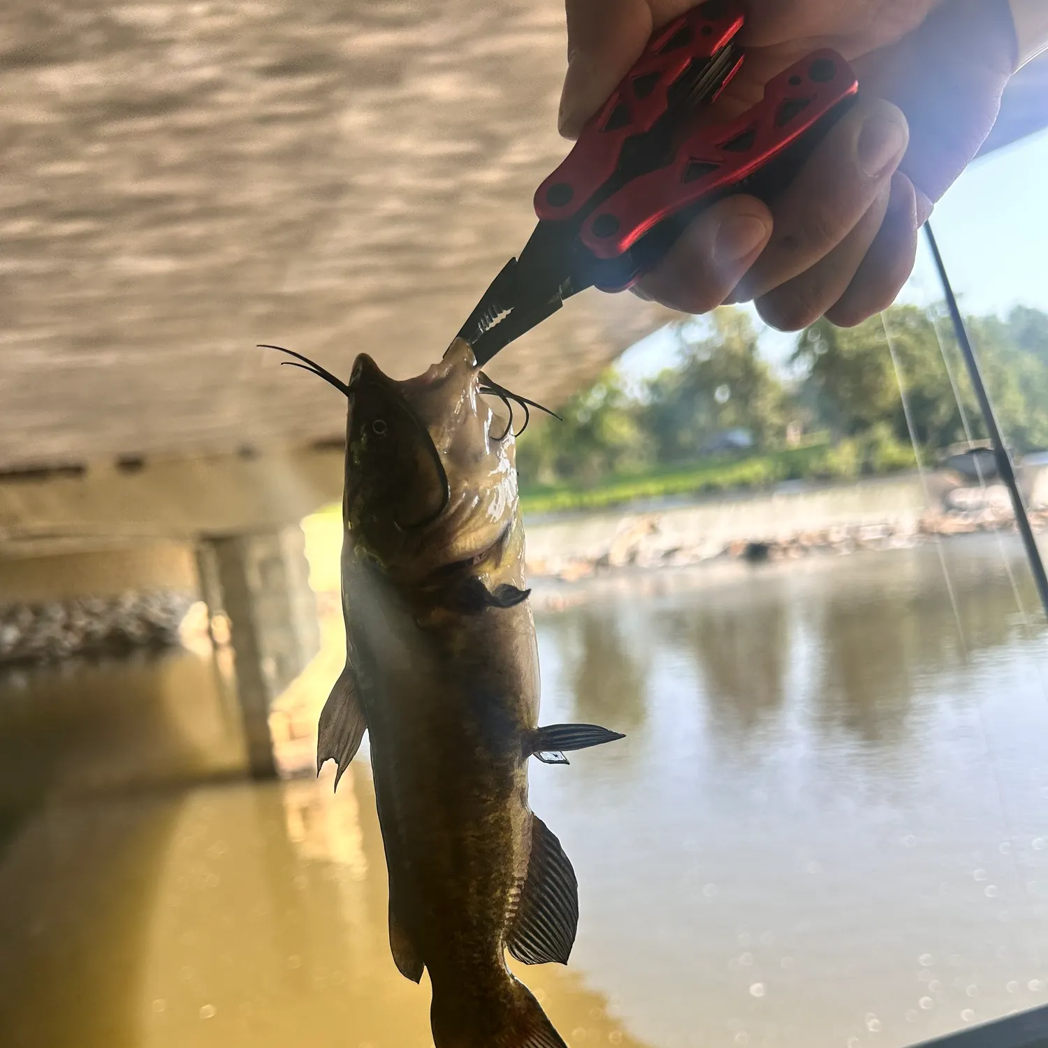 catch
