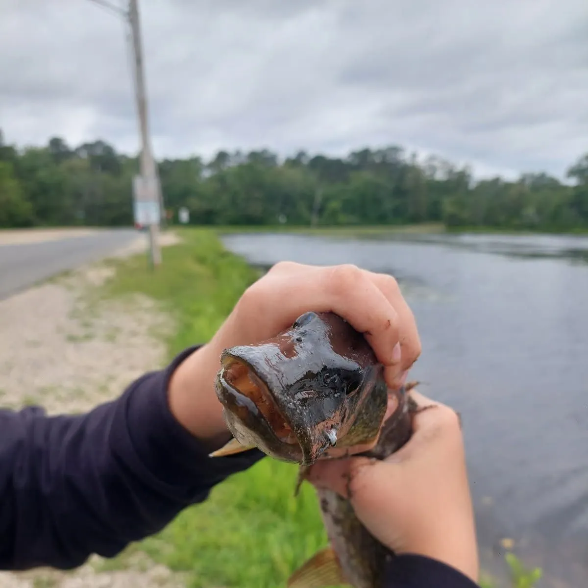 catch
