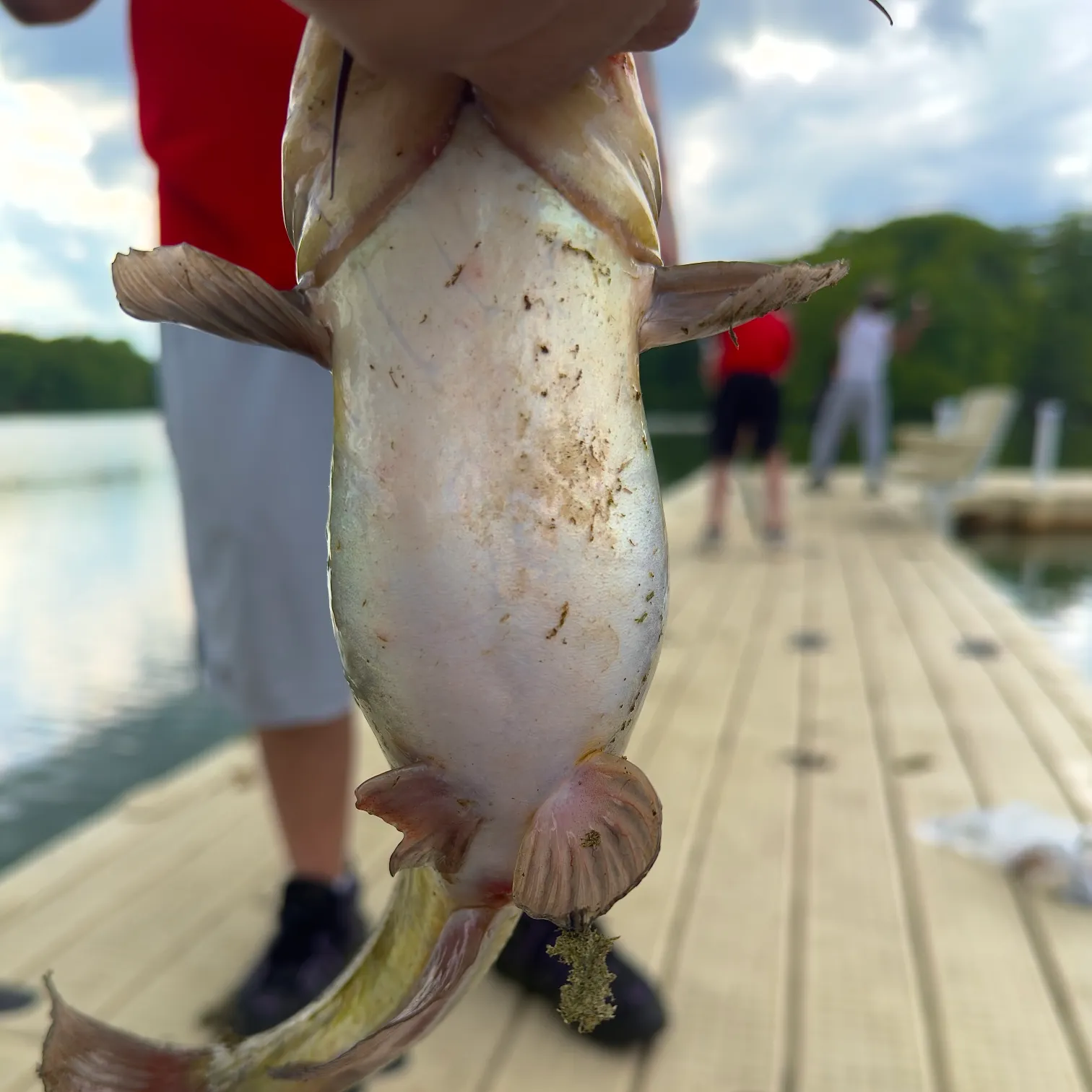 catch