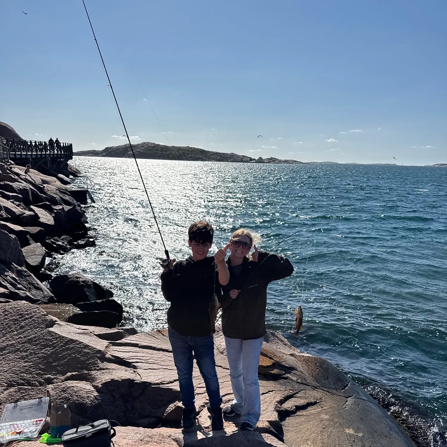 Ballan wrasse caught on Fishbrain